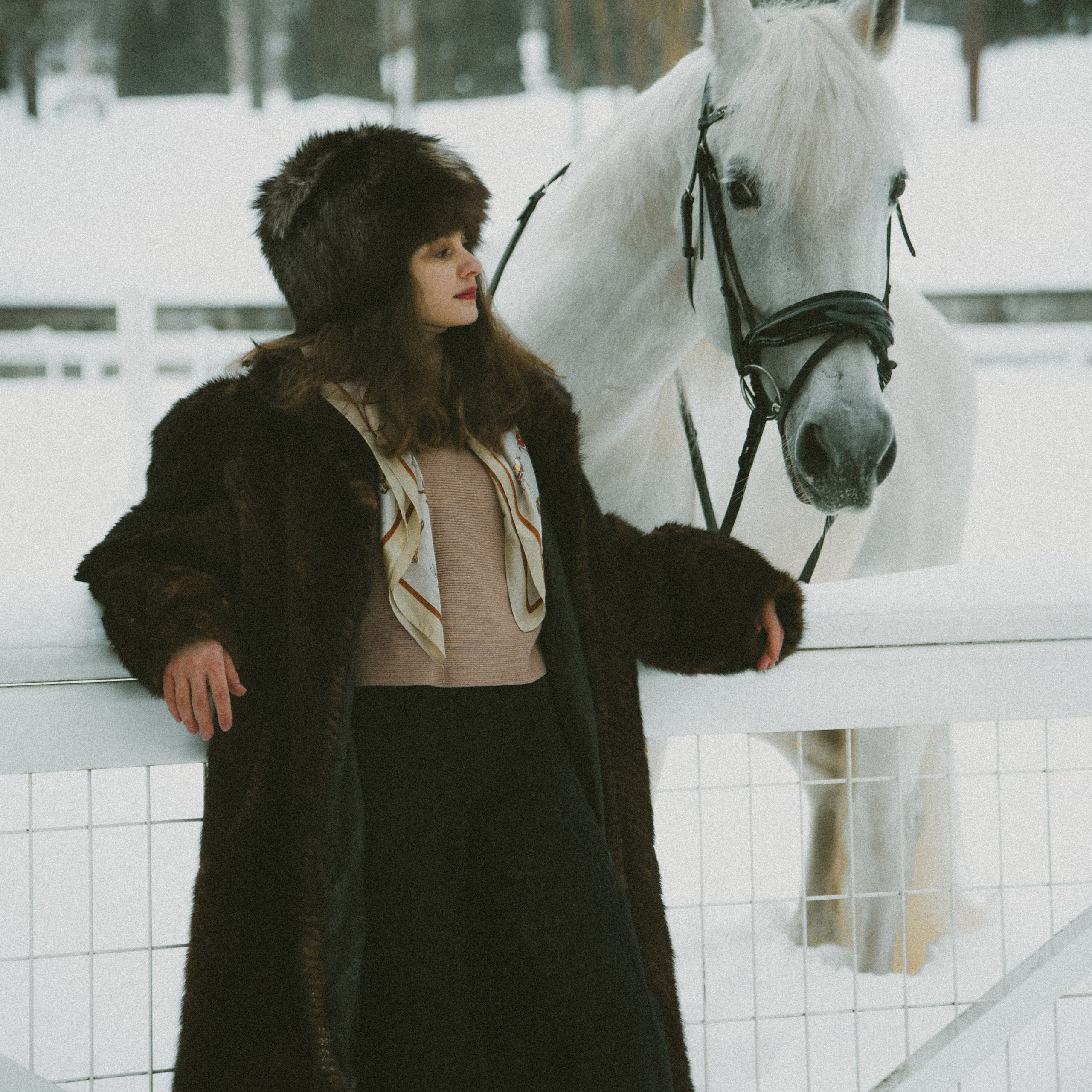Анастасия зима с лошадьми. ФОТОГРАФ СЕРГЕЕВА МАРИЯ
