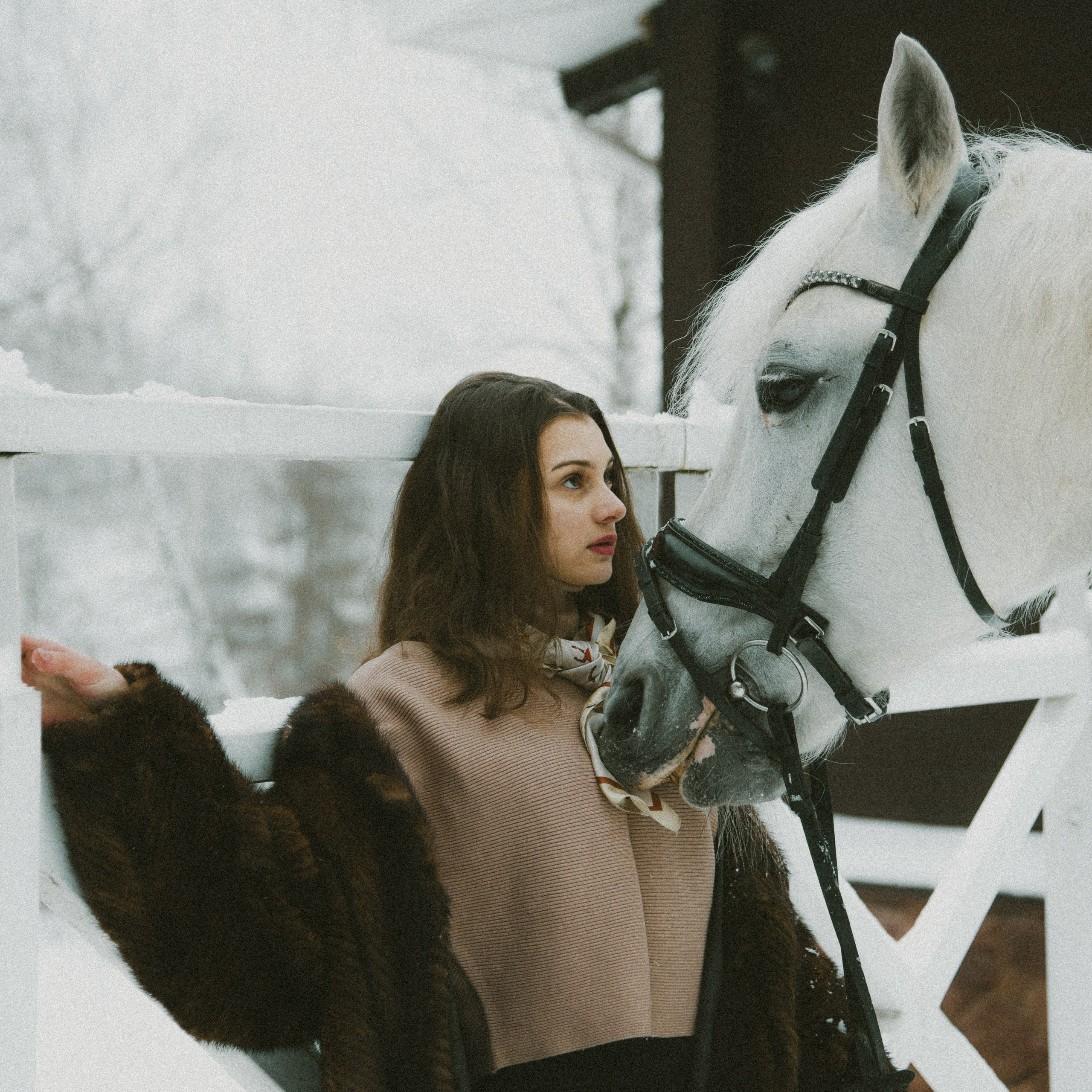 Анастасия зима с лошадьми. ФОТОГРАФ СЕРГЕЕВА МАРИЯ