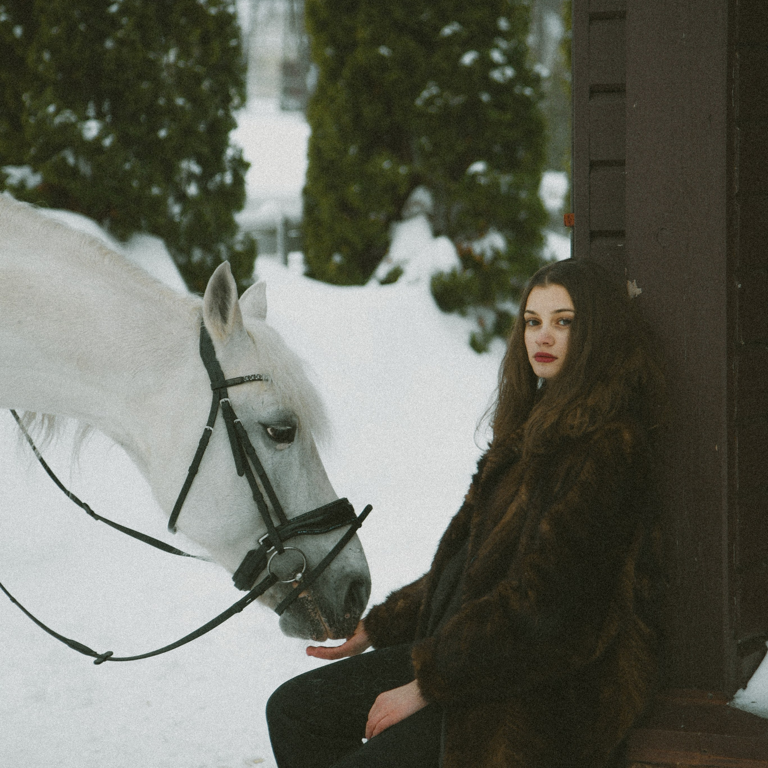 Анастасия зима с лошадьми. ФОТОГРАФ СЕРГЕЕВА МАРИЯ
