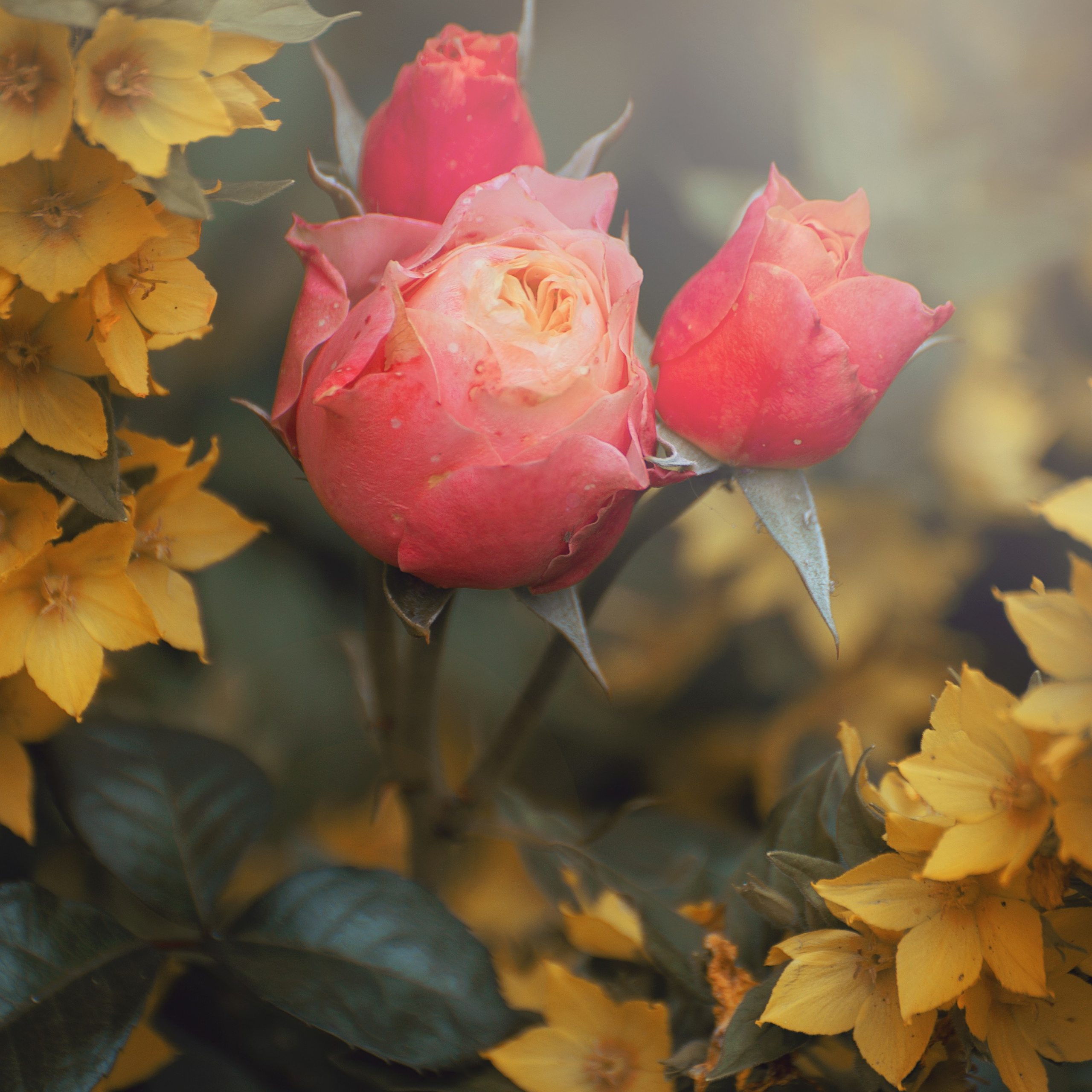 Фотозарисовки. Фотограф Валерия Азамат — жизнь в каждом кадре