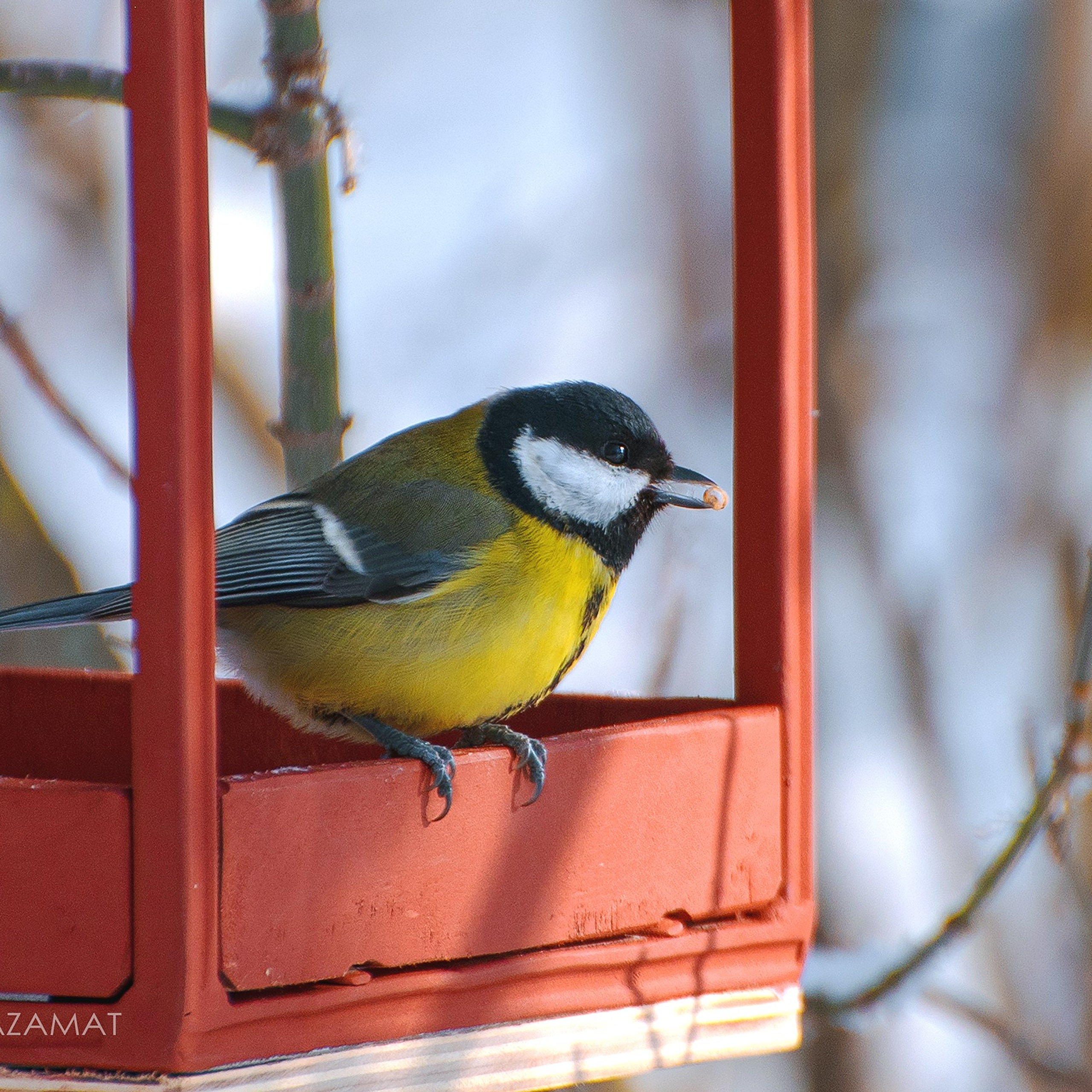 Фотозарисовки. Фотограф Валерия Азамат — жизнь в каждом кадре