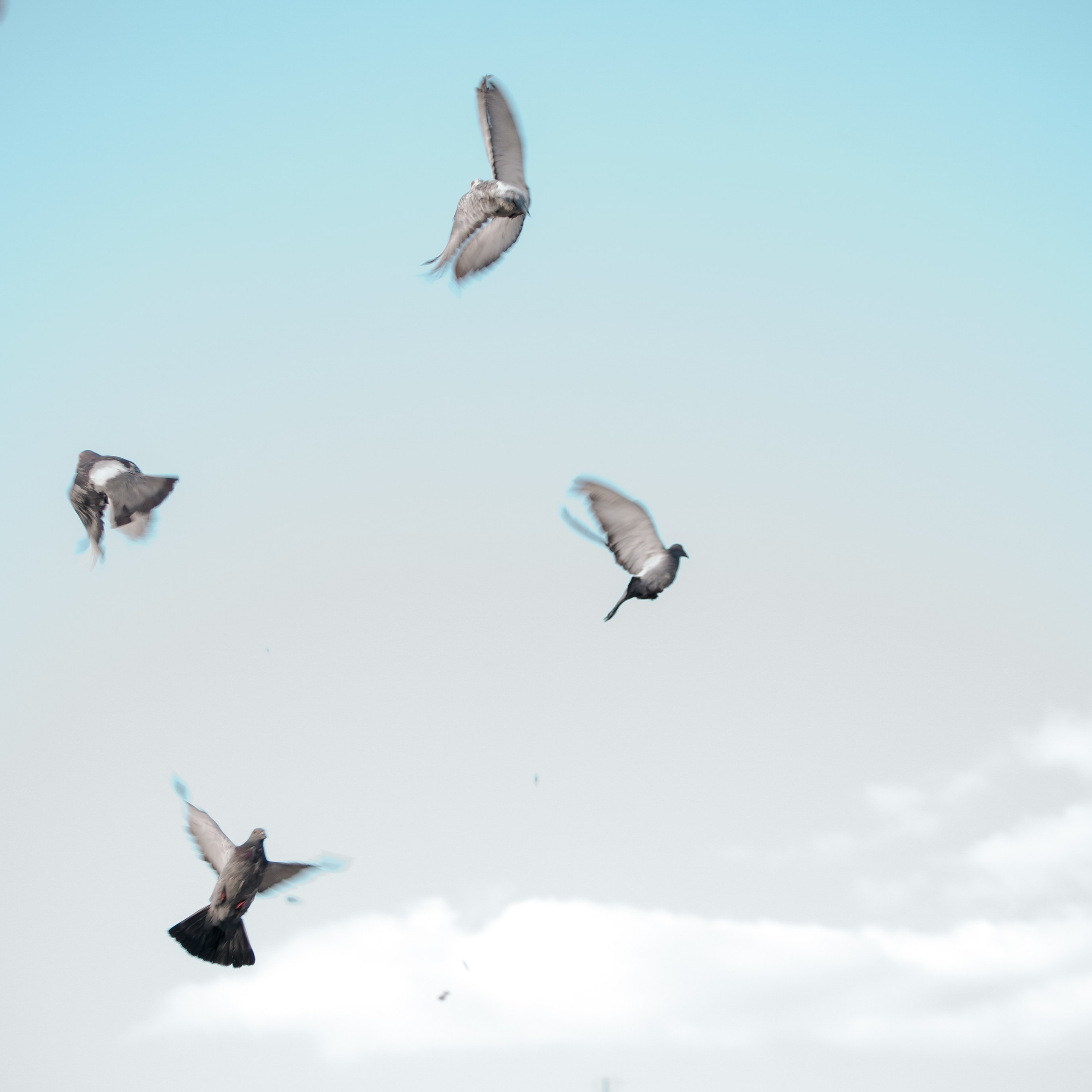 «День села». Фотограф Валерия Азамат — жизнь в каждом кадре