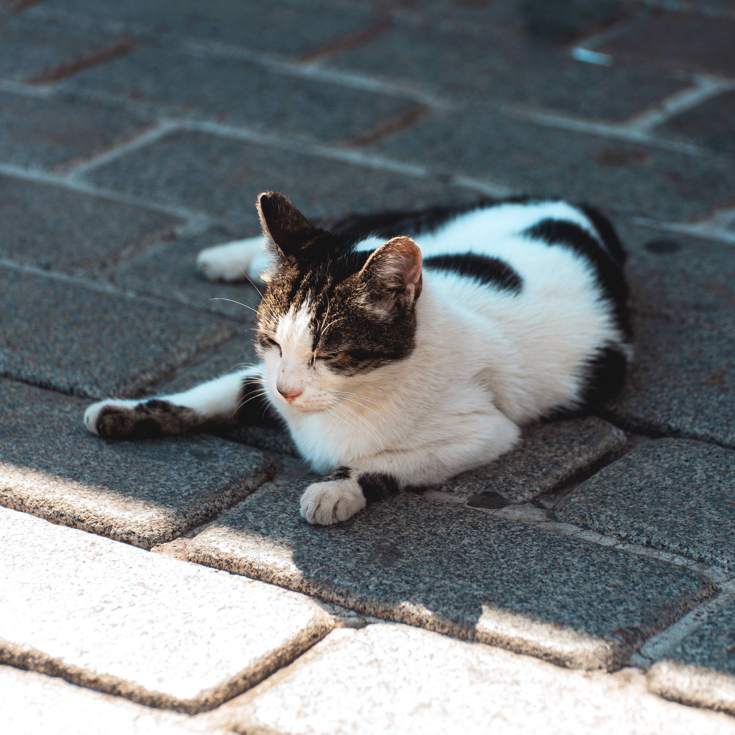 Стамбул. Фотограф Валерия Азамат — жизнь в каждом кадре