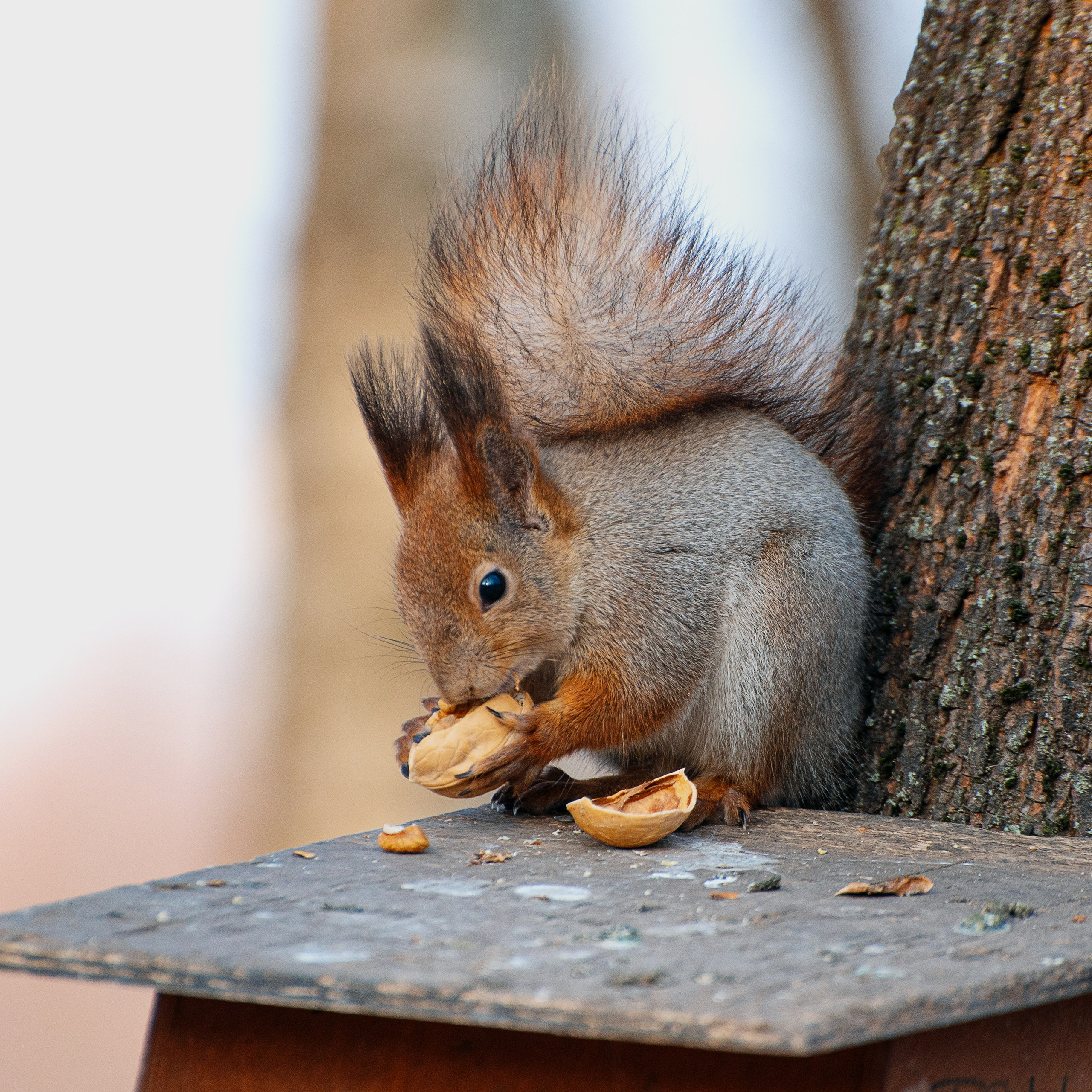 Фотозарисовки. Фотограф Валерия Азамат — жизнь в каждом кадре
