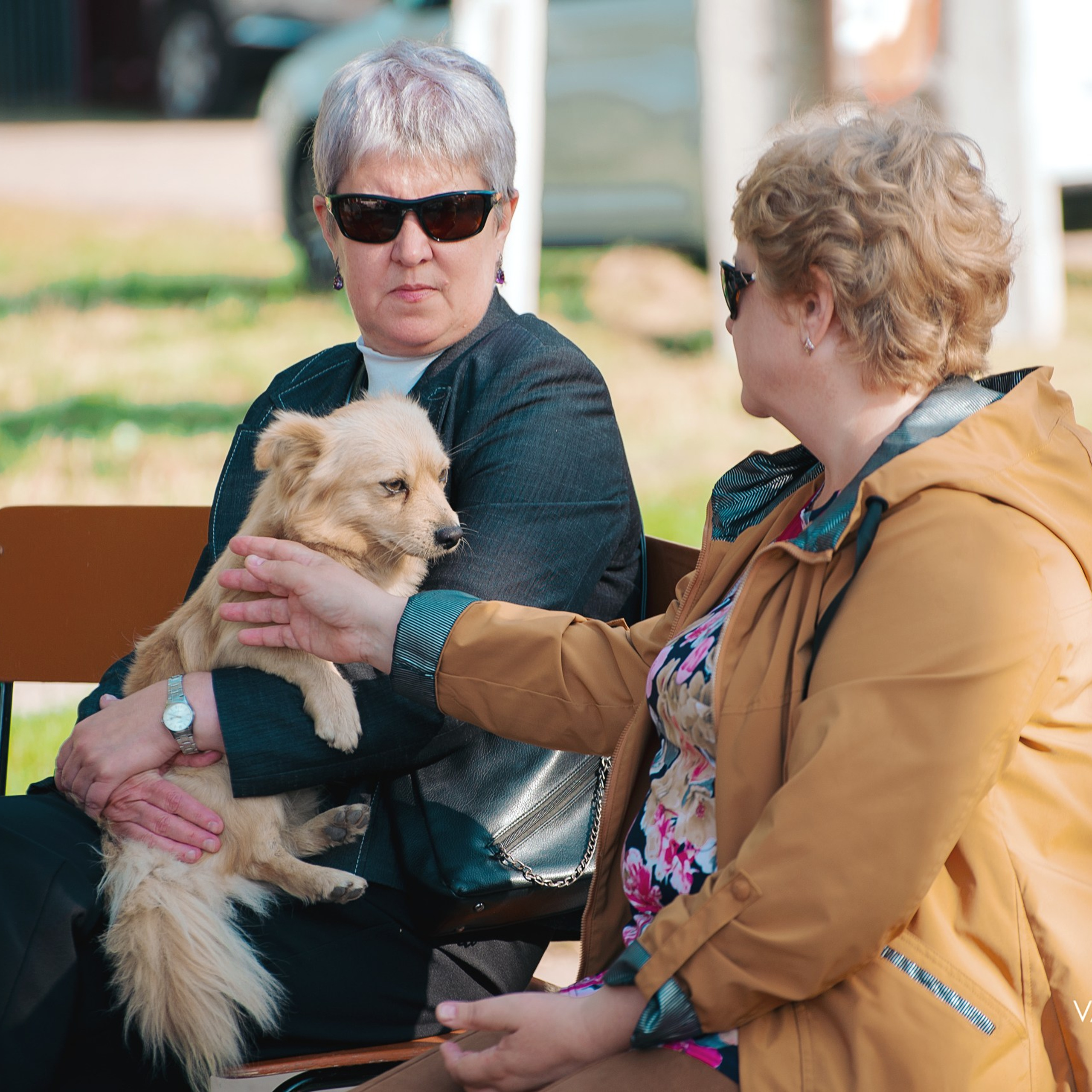 «День села». Фотограф Валерия Азамат — жизнь в каждом кадре