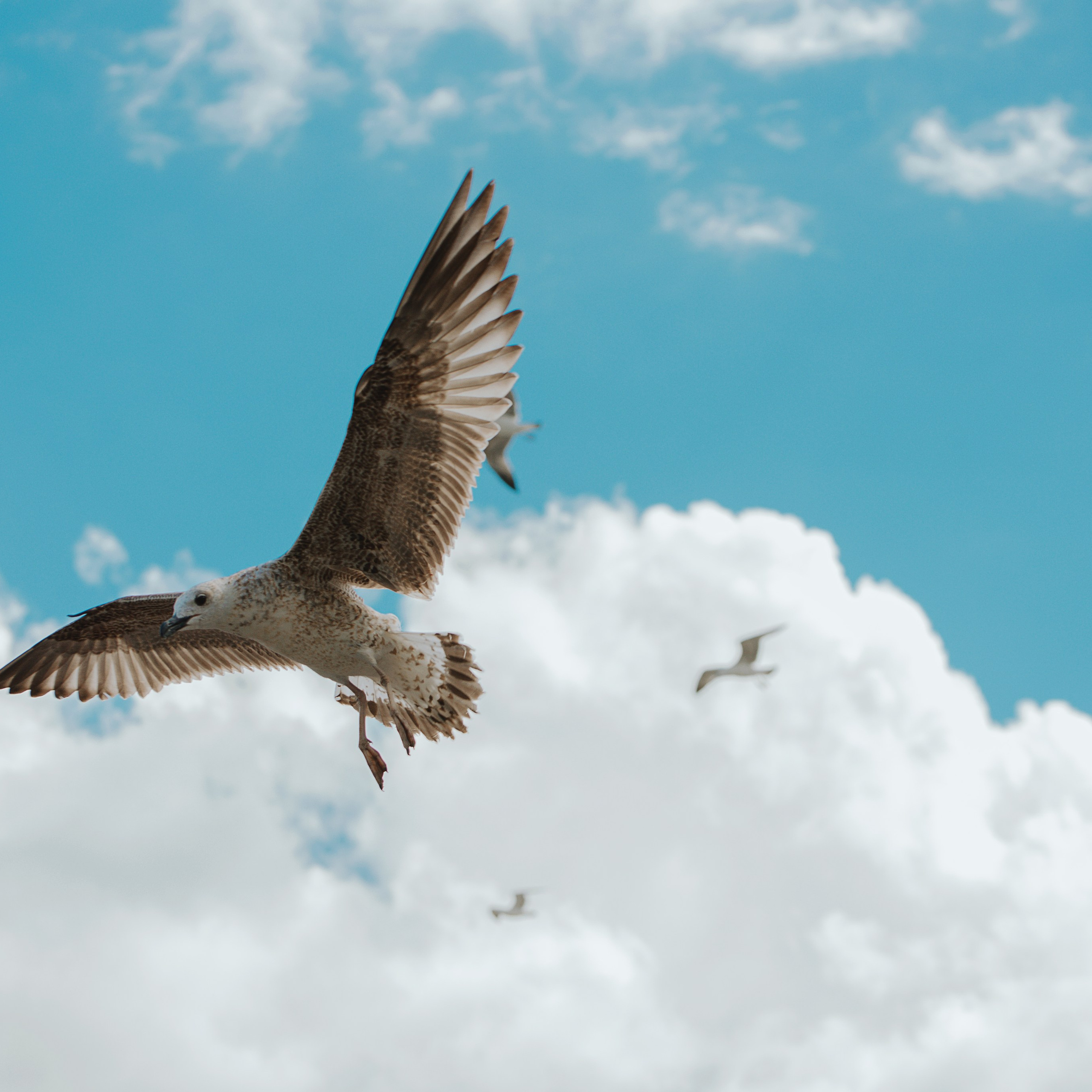 Стамбул. Фотограф Валерия Азамат — жизнь в каждом кадре