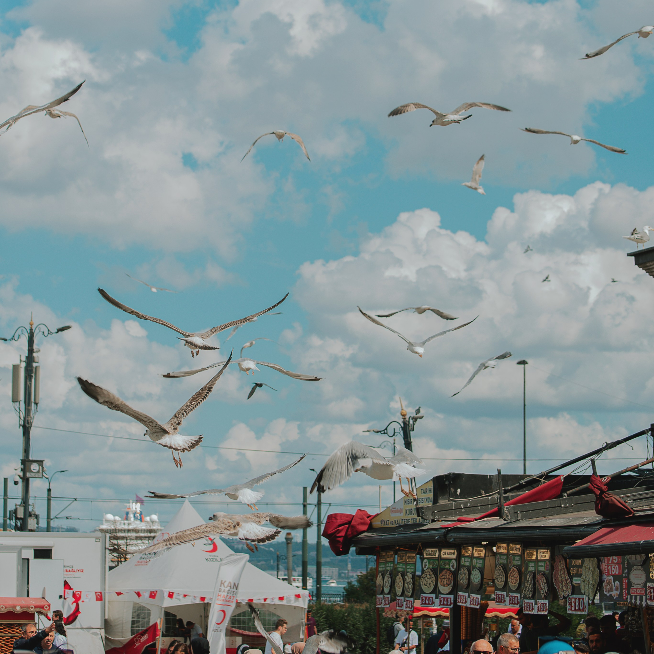 Фотограф_в_Стамбуле