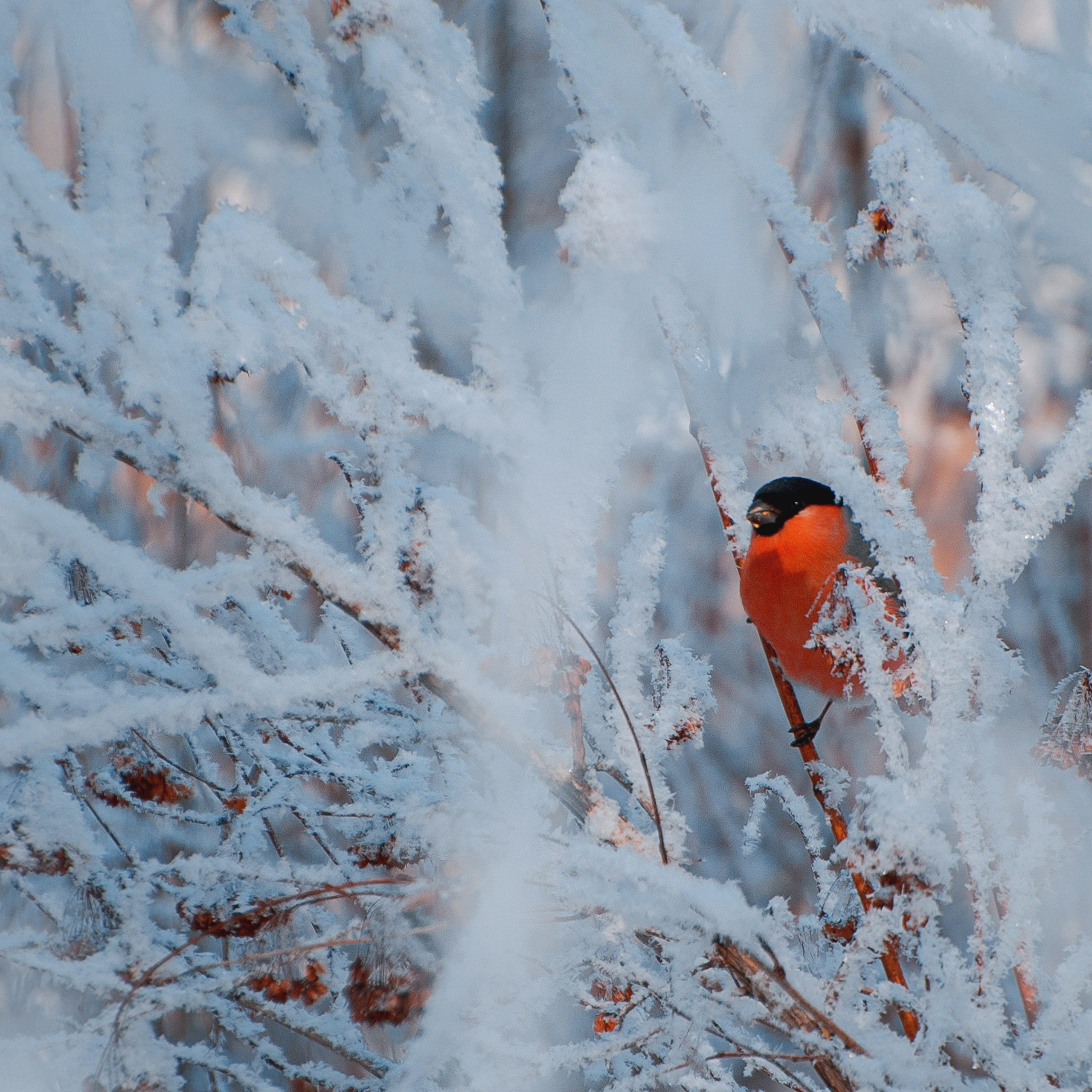 Фотозарисовки. Фотограф Валерия Азамат — жизнь в каждом кадре