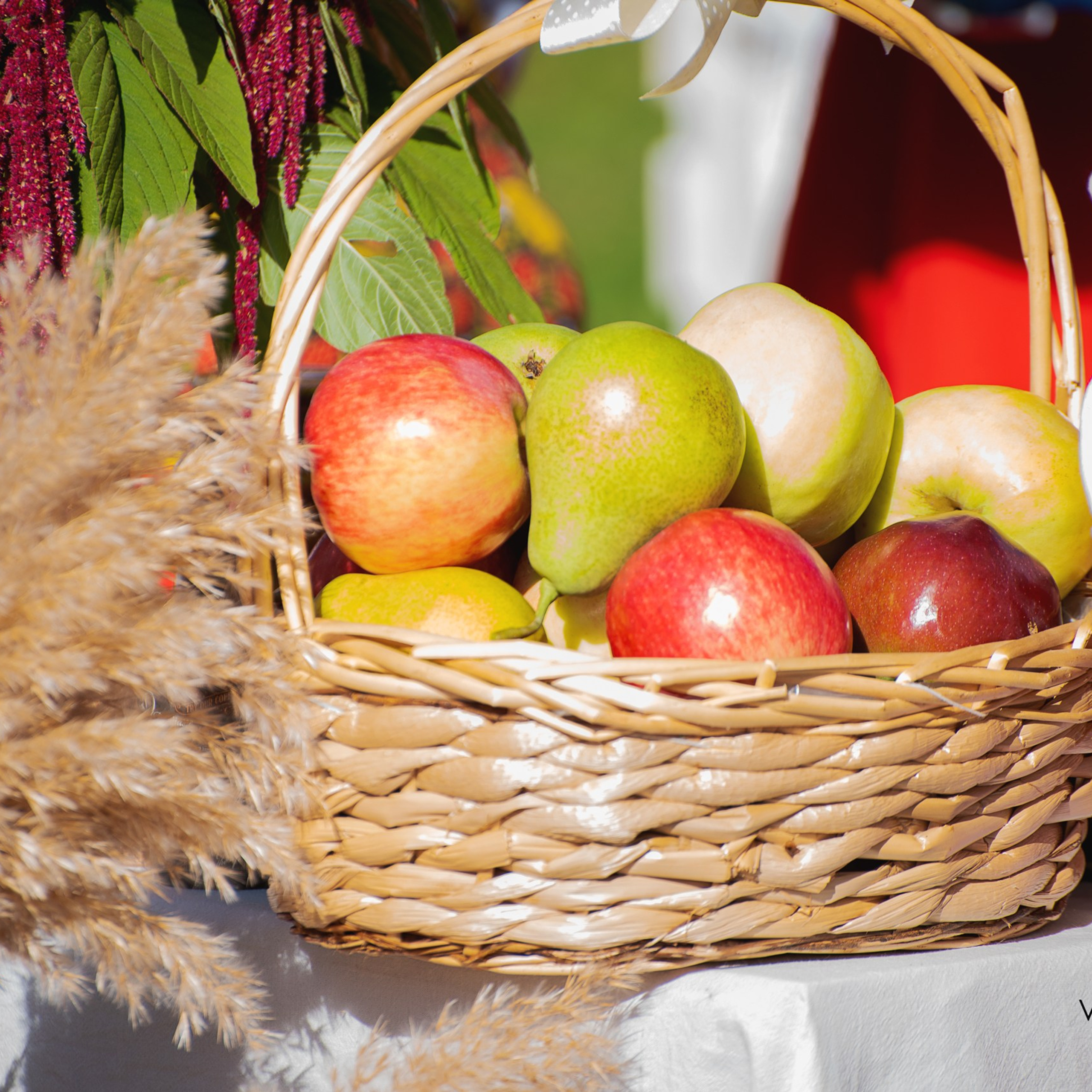 «День села». Фотограф Валерия Азамат — жизнь в каждом кадре