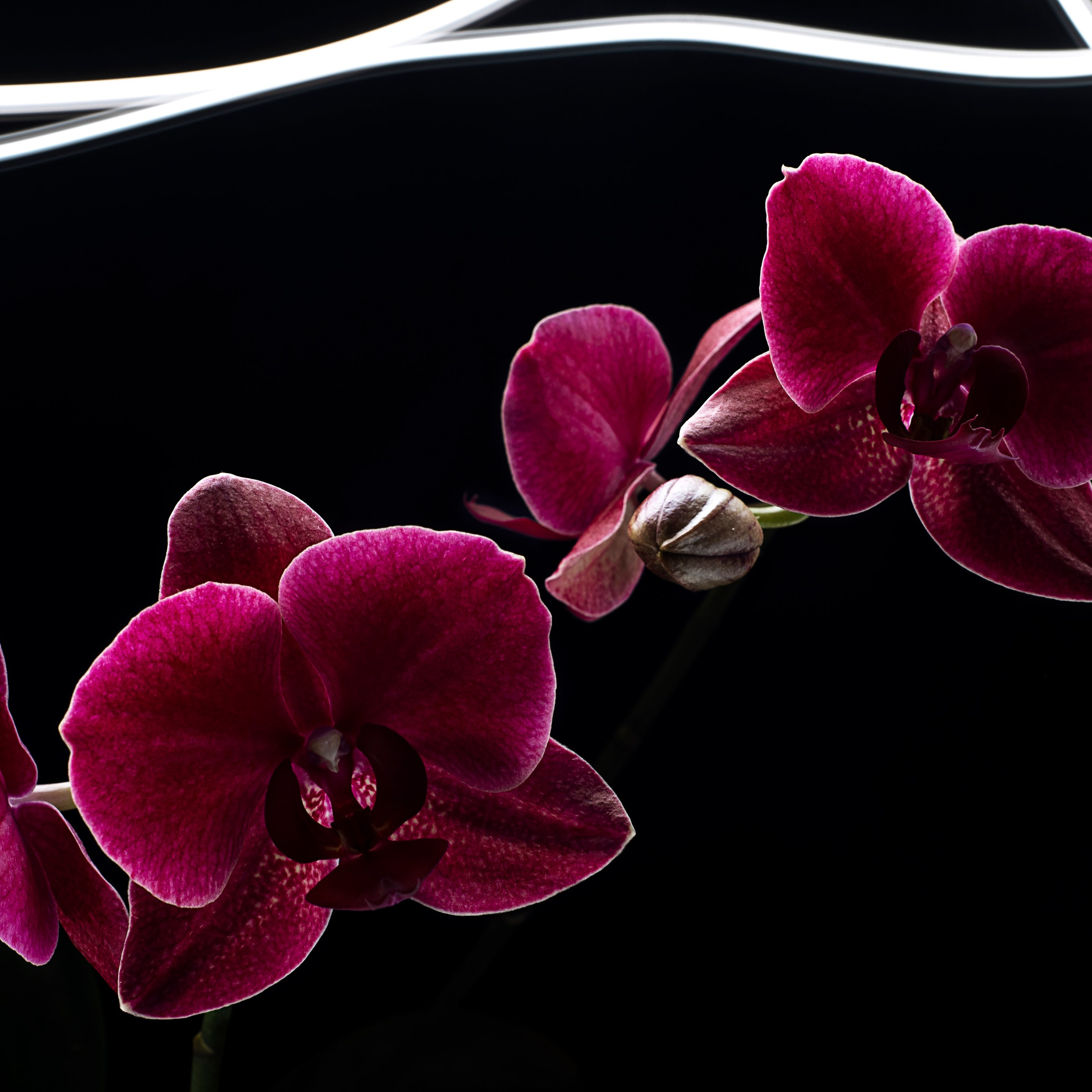 Фотозарисовки. Фотограф Валерия Азамат — жизнь в каждом кадре