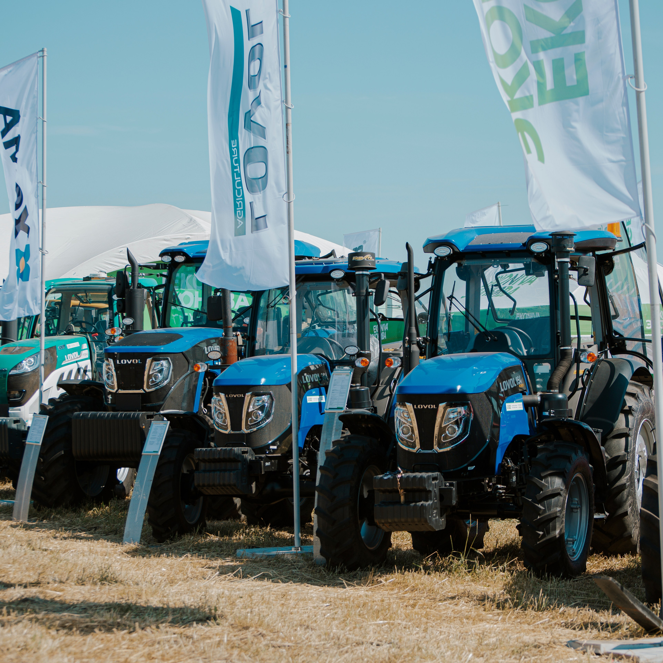 День Поля Рязанской области. Фотограф Валерия Азамат — жизнь в каждом кадре