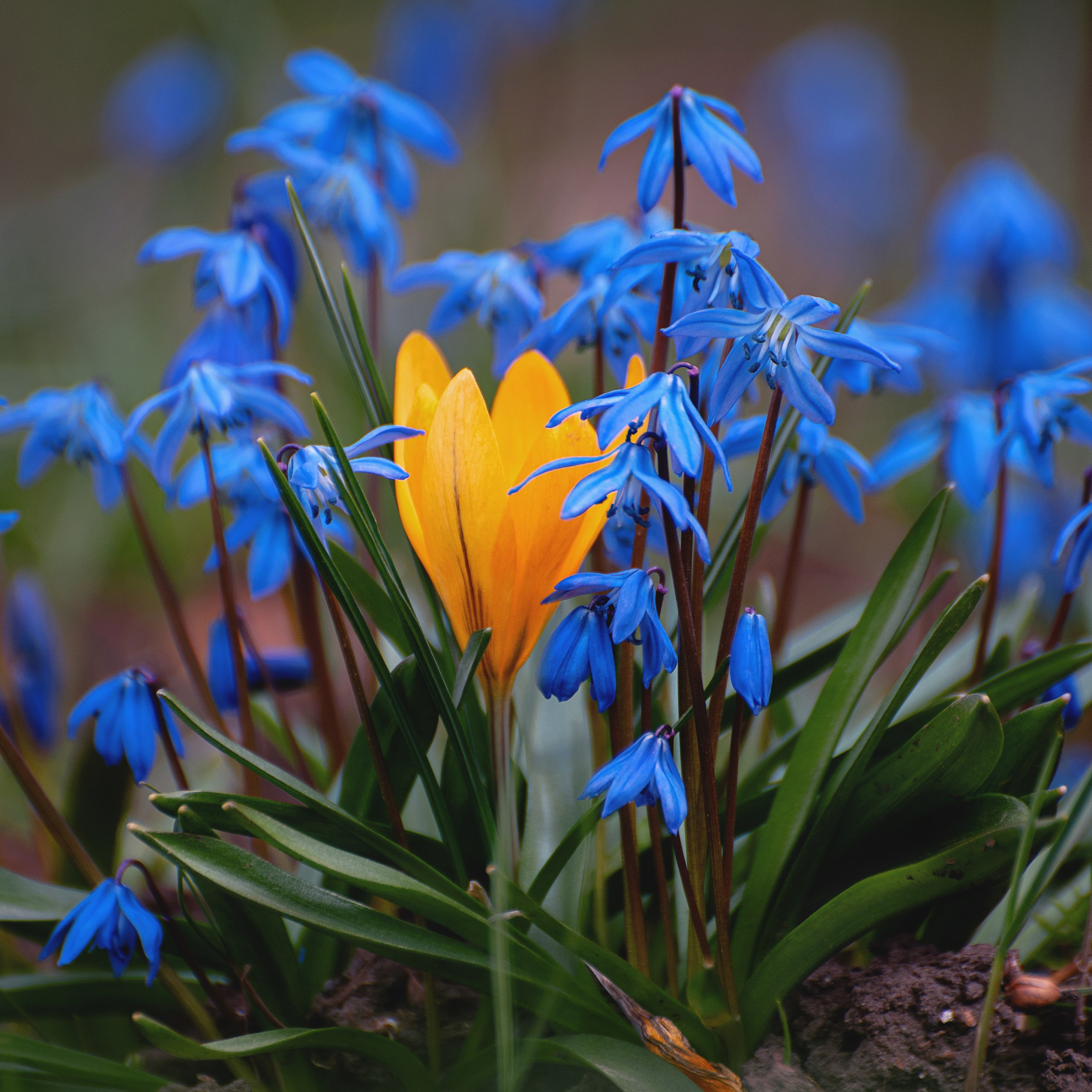 Фотозарисовки. Фотограф Валерия Азамат — жизнь в каждом кадре