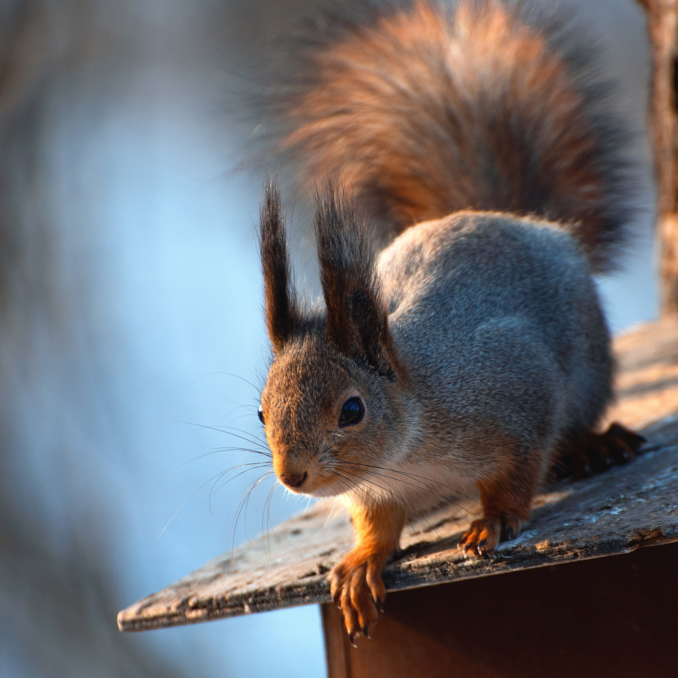 Фотозарисовки. Фотограф Валерия Азамат — жизнь в каждом кадре