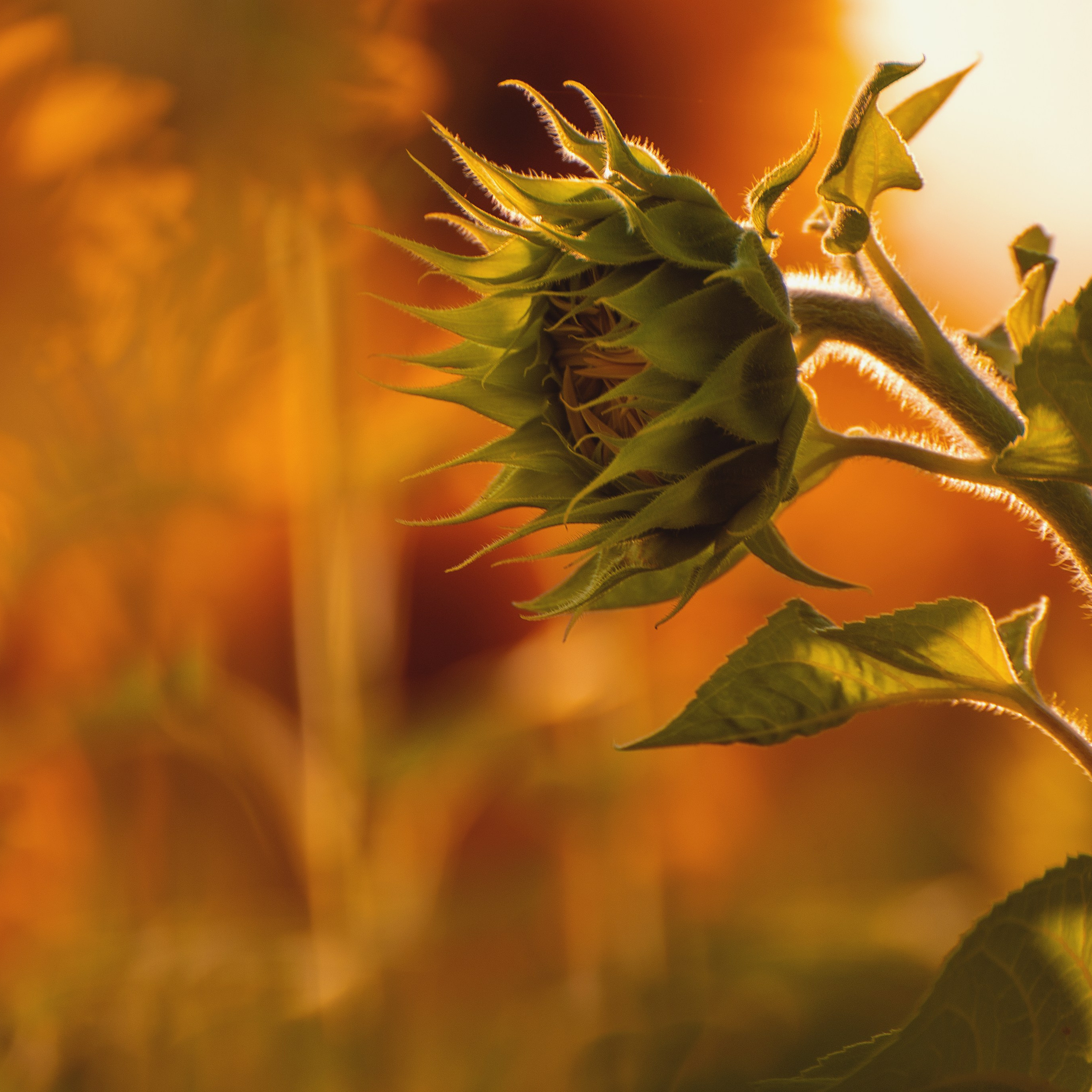 Фотозарисовки. Фотограф Валерия Азамат — жизнь в каждом кадре