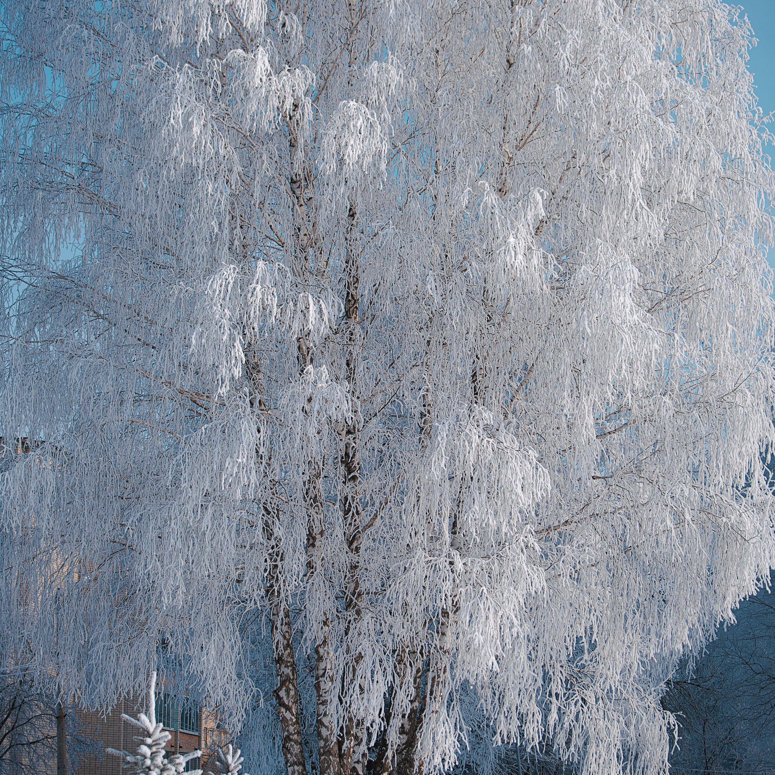 Фотозарисовки. Фотограф Валерия Азамат — жизнь в каждом кадре