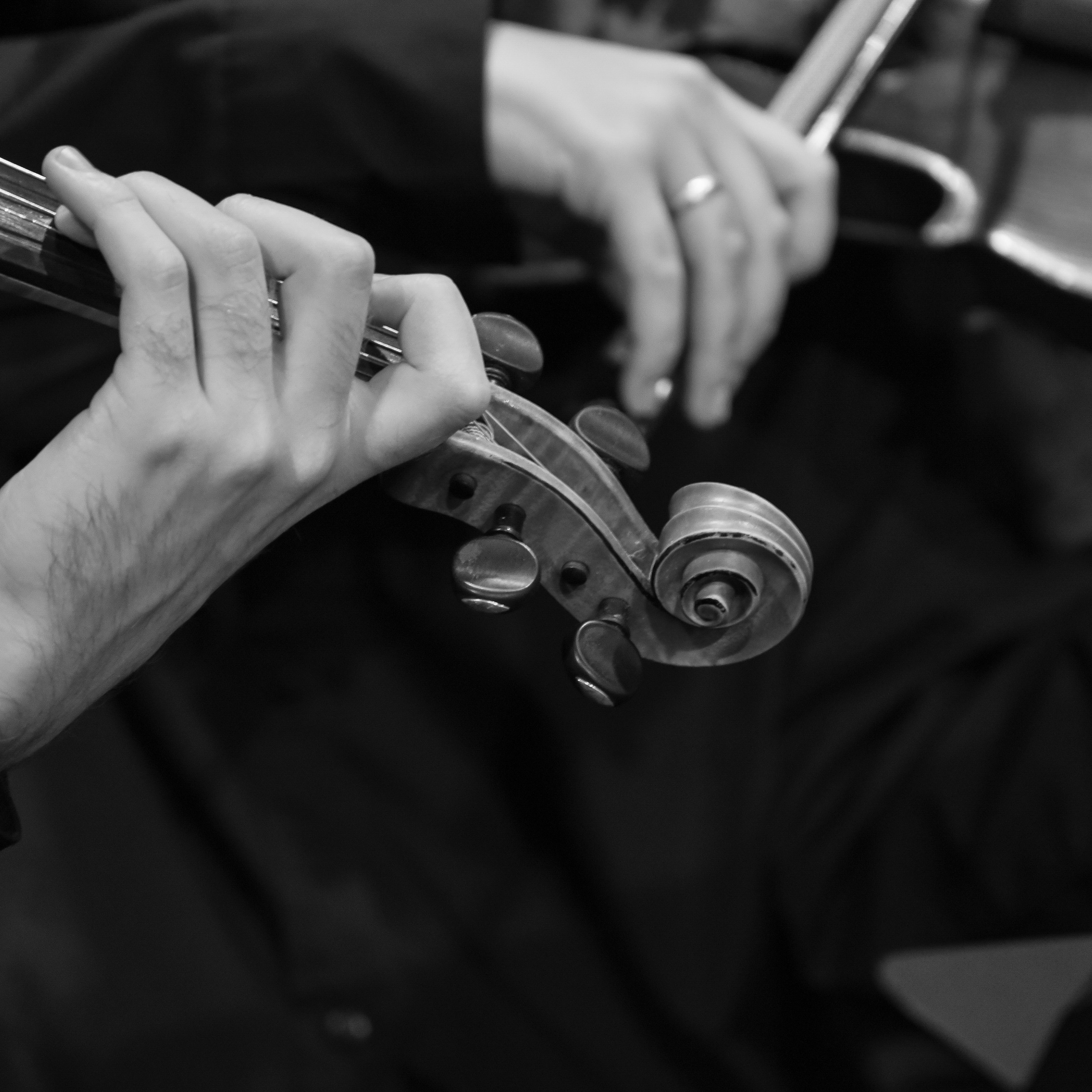 Концерт. Фотограф Валерия Азамат — жизнь в каждом кадре