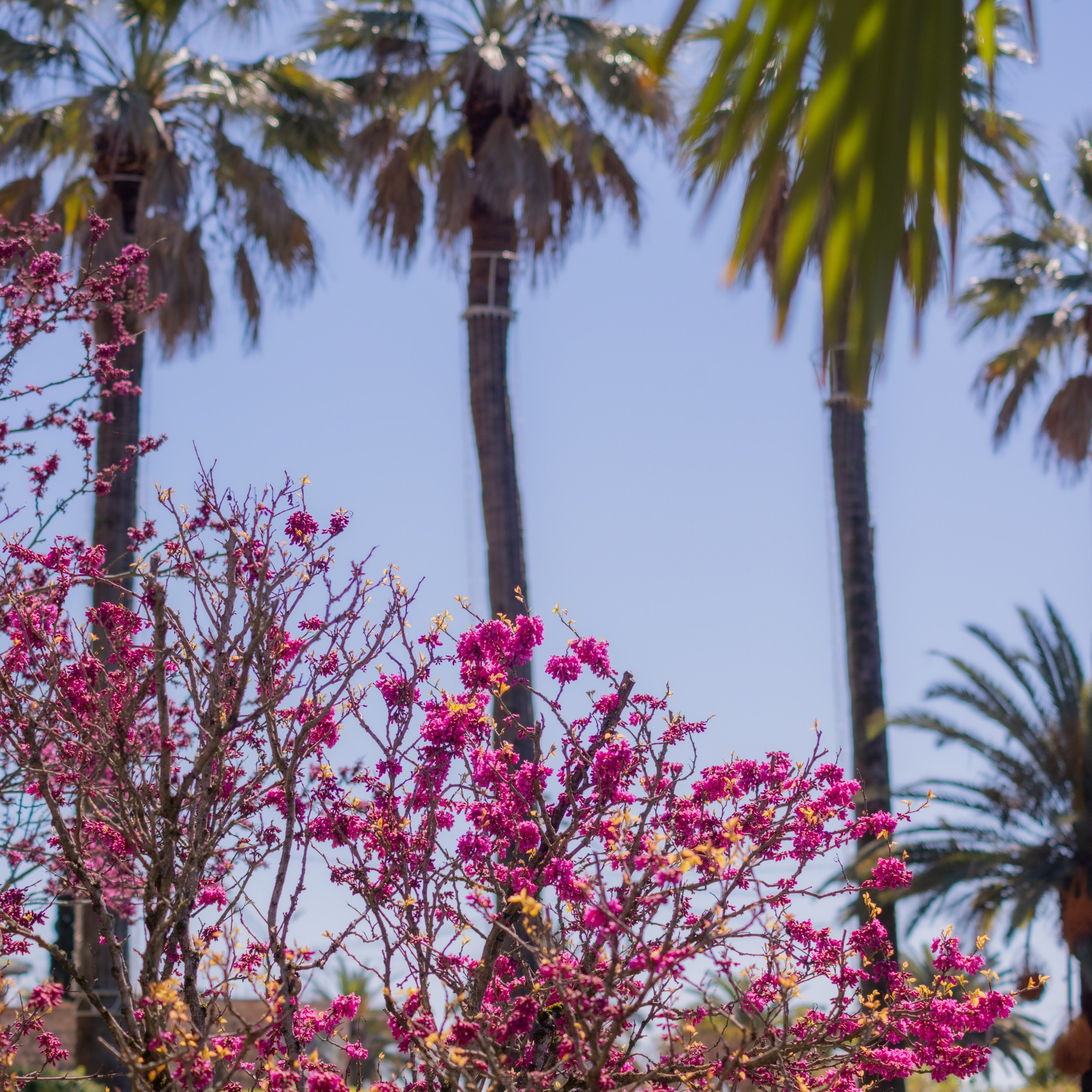 Отзывы. Фотограф Счастливых моментов Сочи, Ростов-на-Дону Янина Козакова