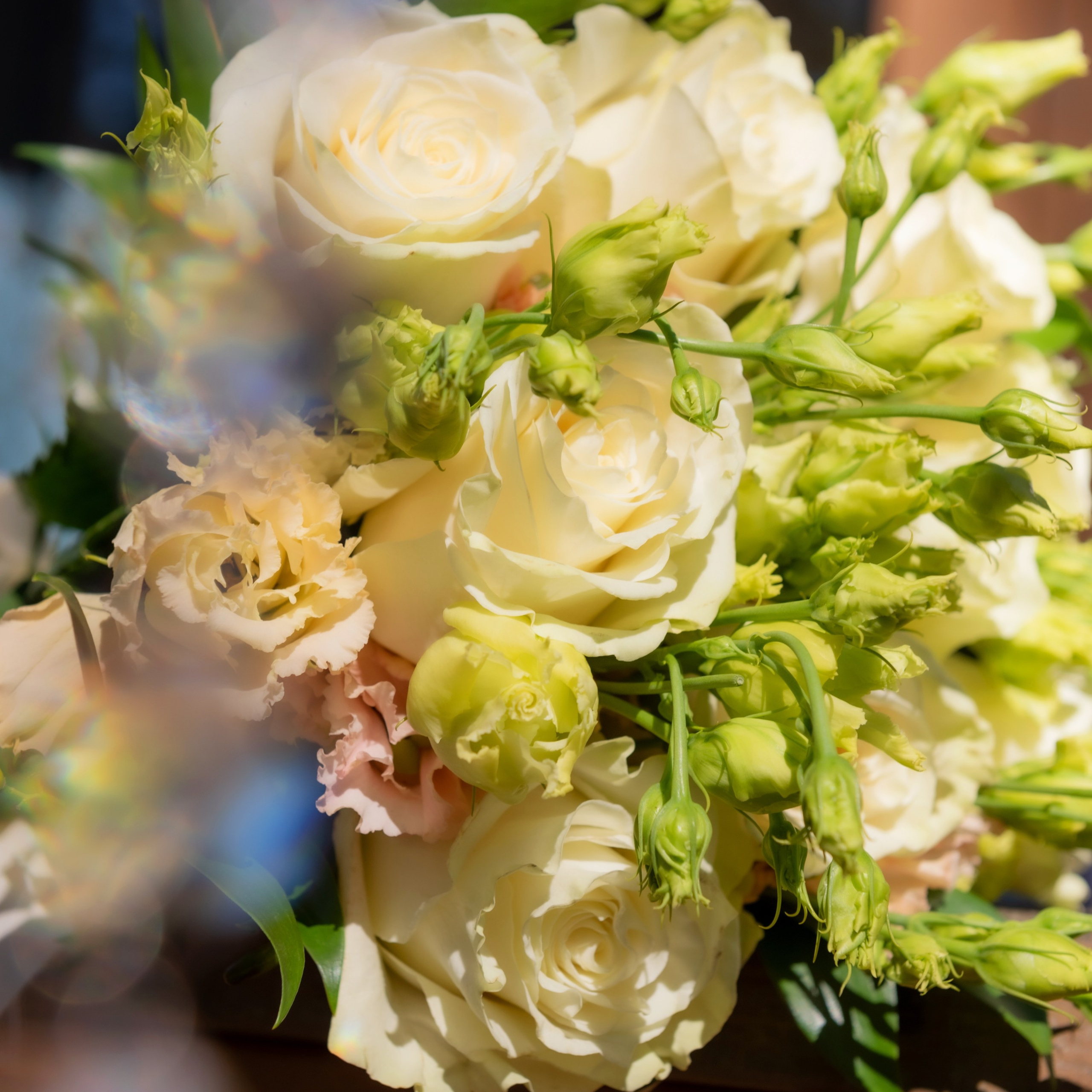 Отзывы. Фотограф Счастливых моментов Сочи, Ростов-на-Дону Янина Козакова