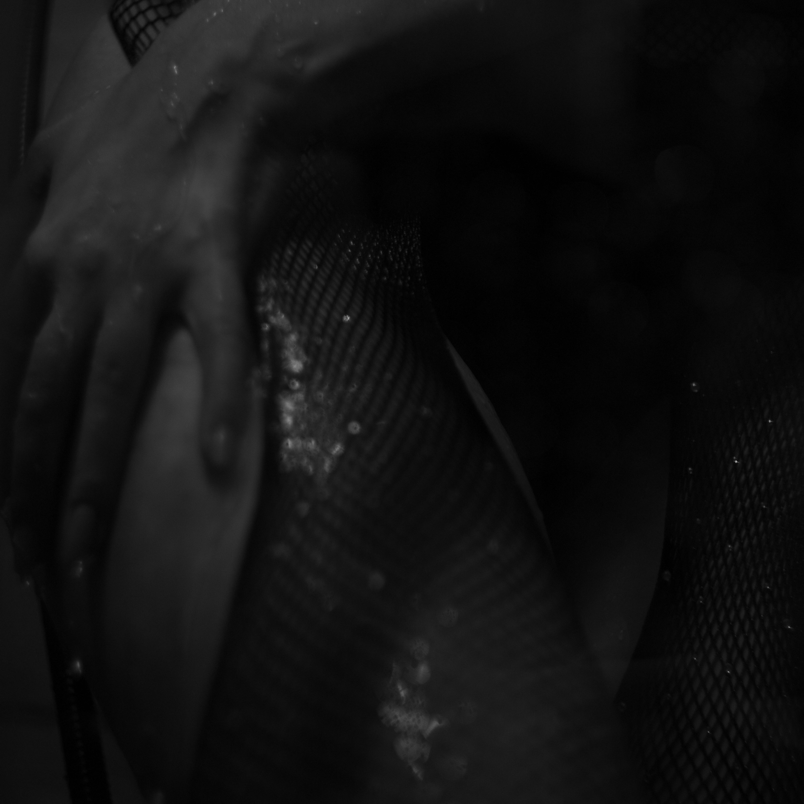 Отзывы. Портретный фотограф в Тамбове Валентина Забавникова