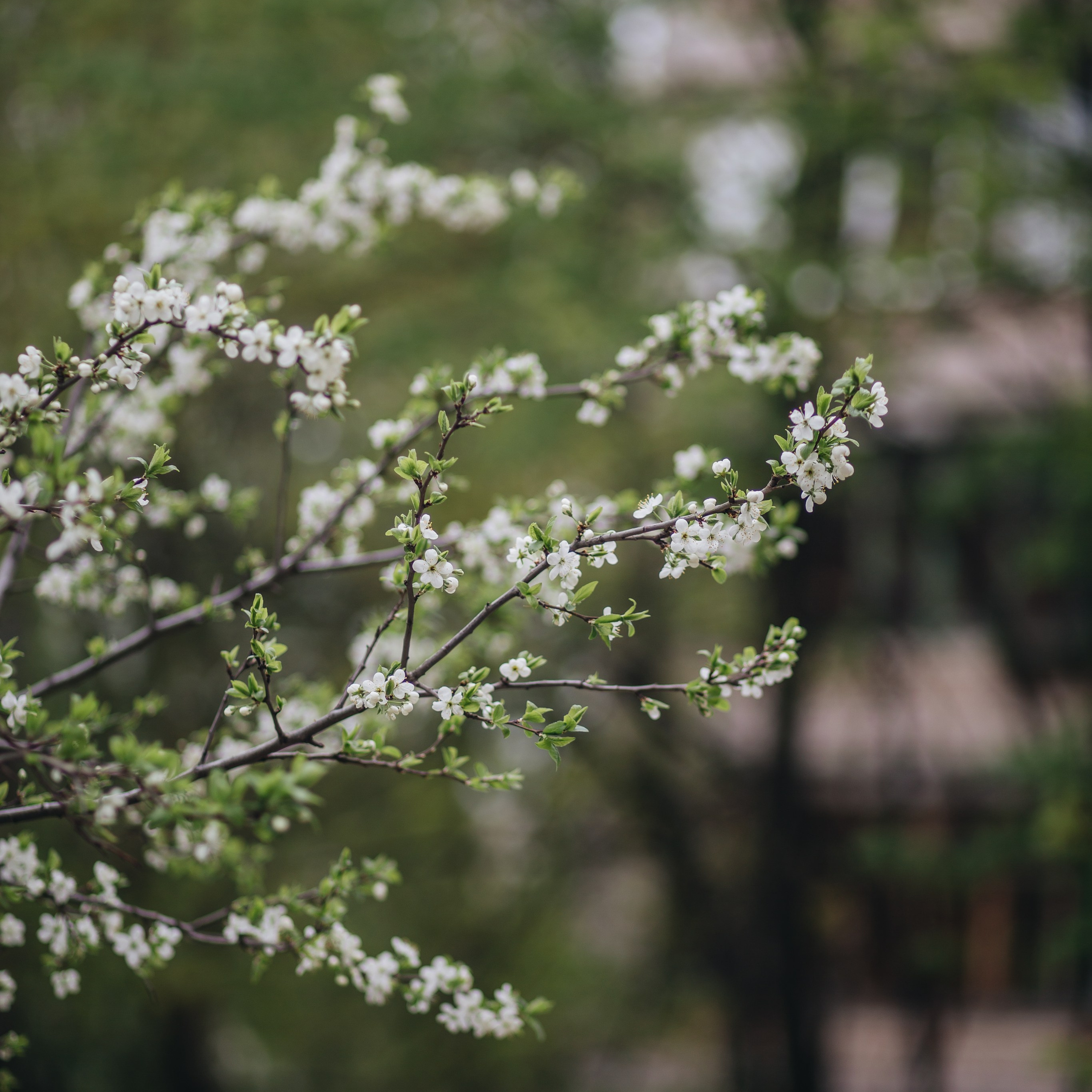 Екатерина Рыбина фотограф в Нижнем Новгороде