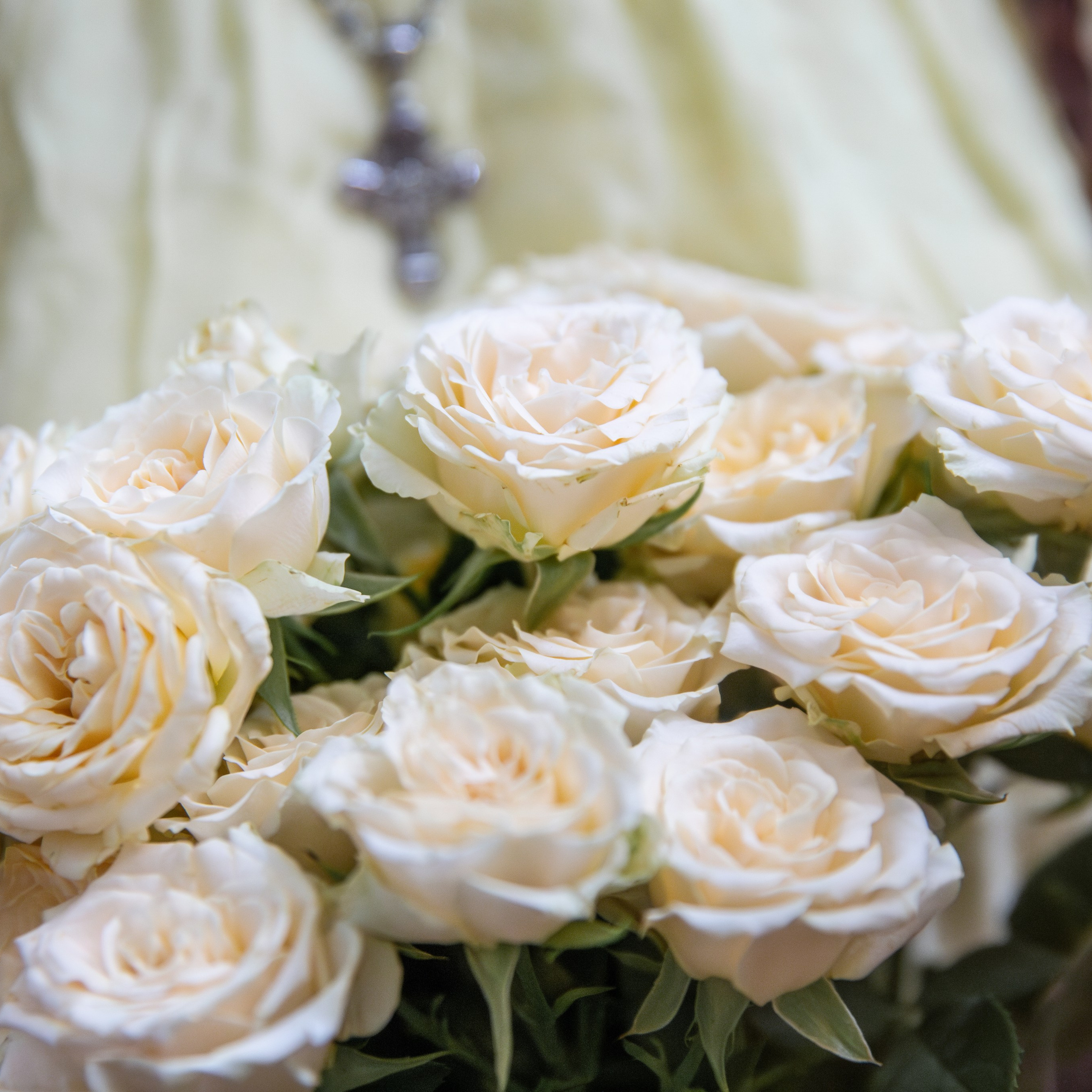 Отзывы. Екатерина Рыбина фотограф в Нижнем Новгороде