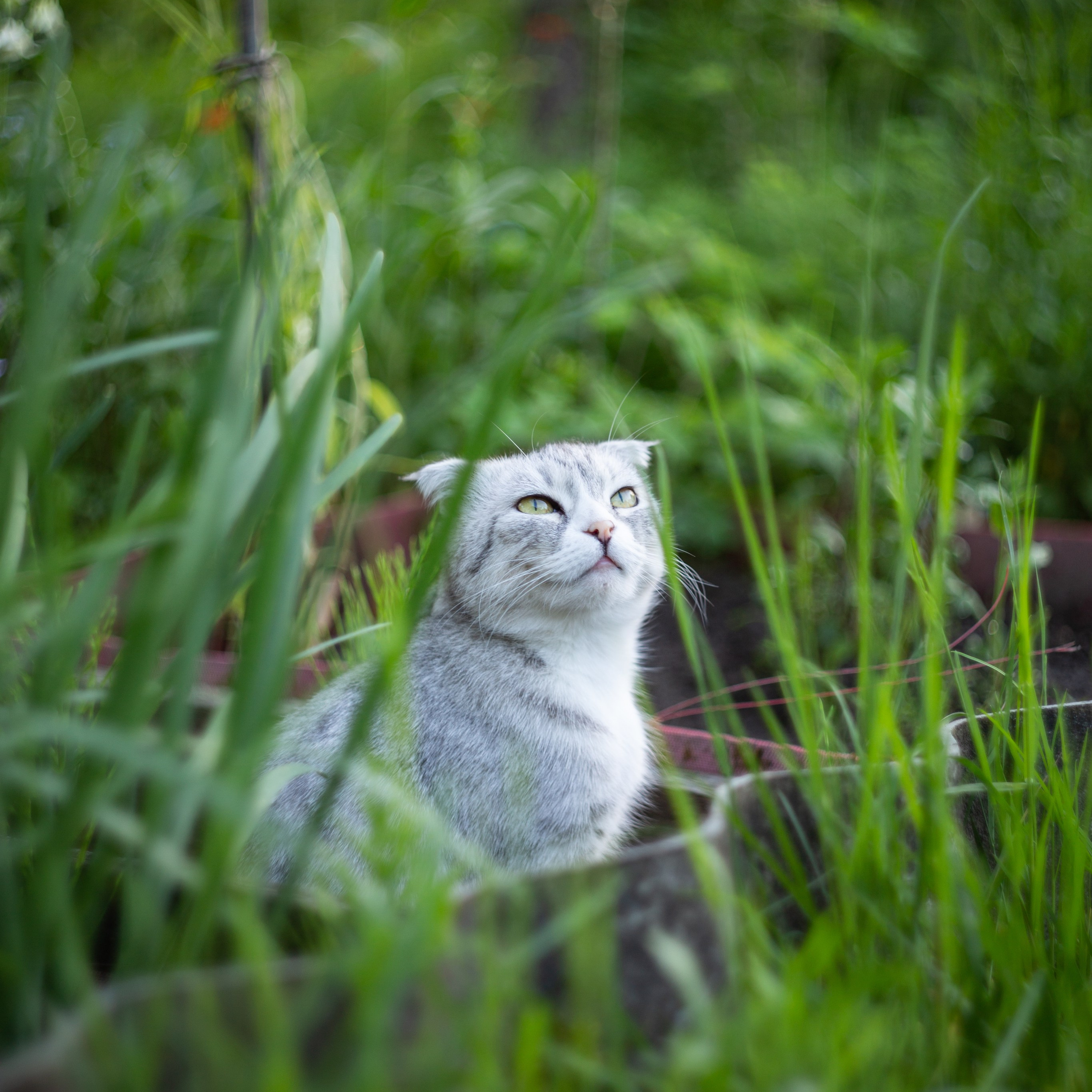 Отзывы. Екатерина Рыбина фотограф в Нижнем Новгороде