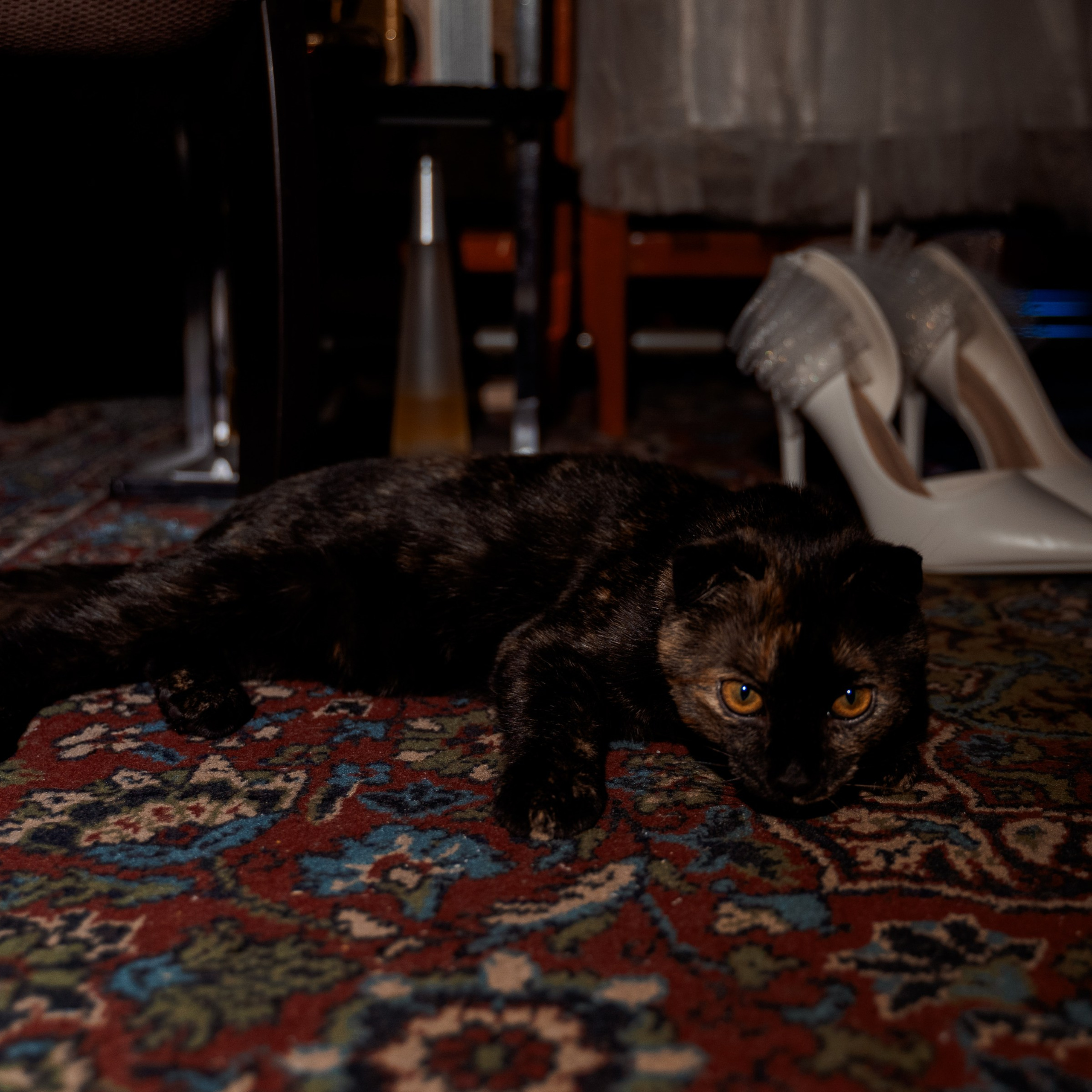 Отзывы. Фотограф Москва Влад Чибис