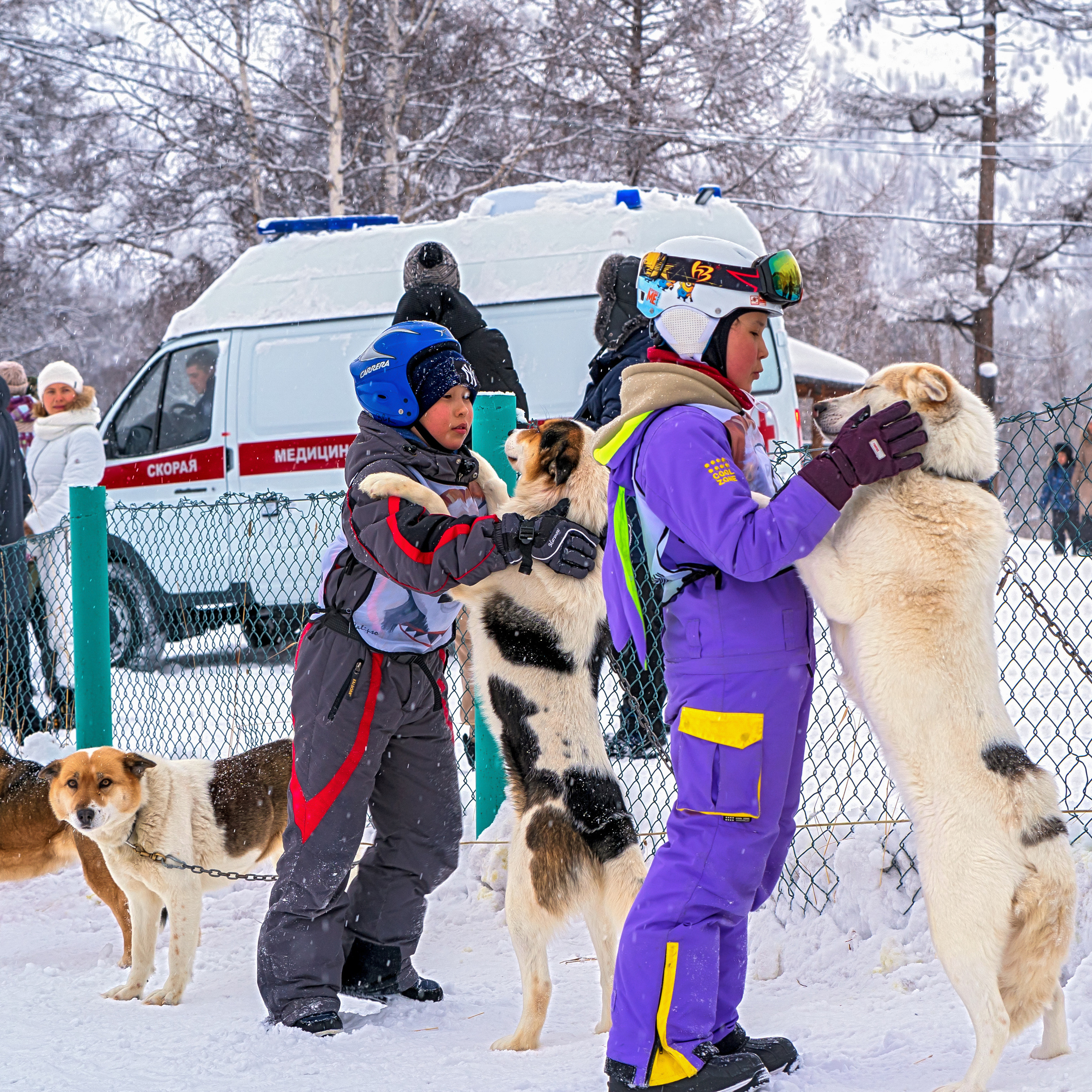 Отзывы. Фотограф Ворошилов Дмитрий. Эссо. Камчатка