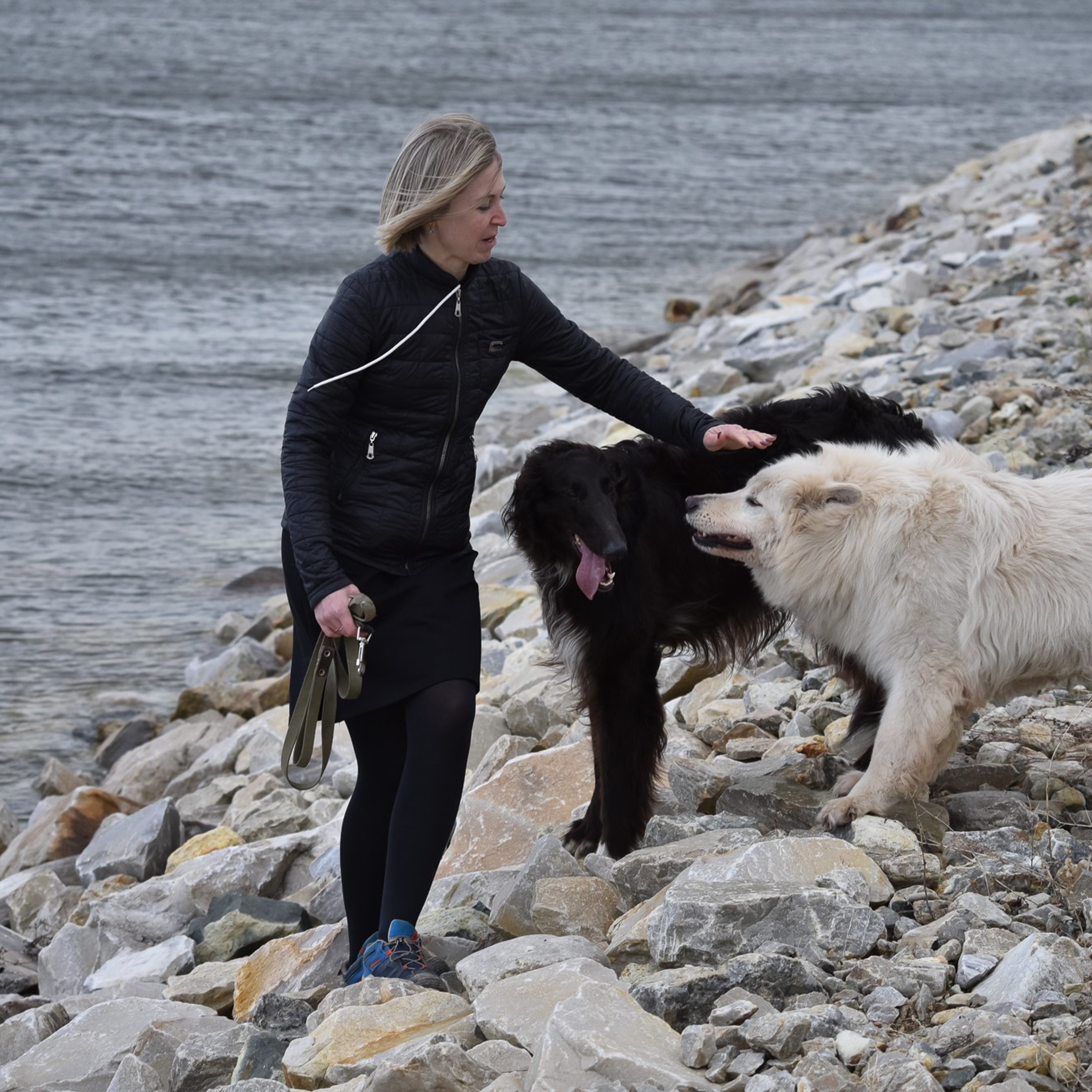 ФОТОСЪЕМКА С СОБАКАМИ