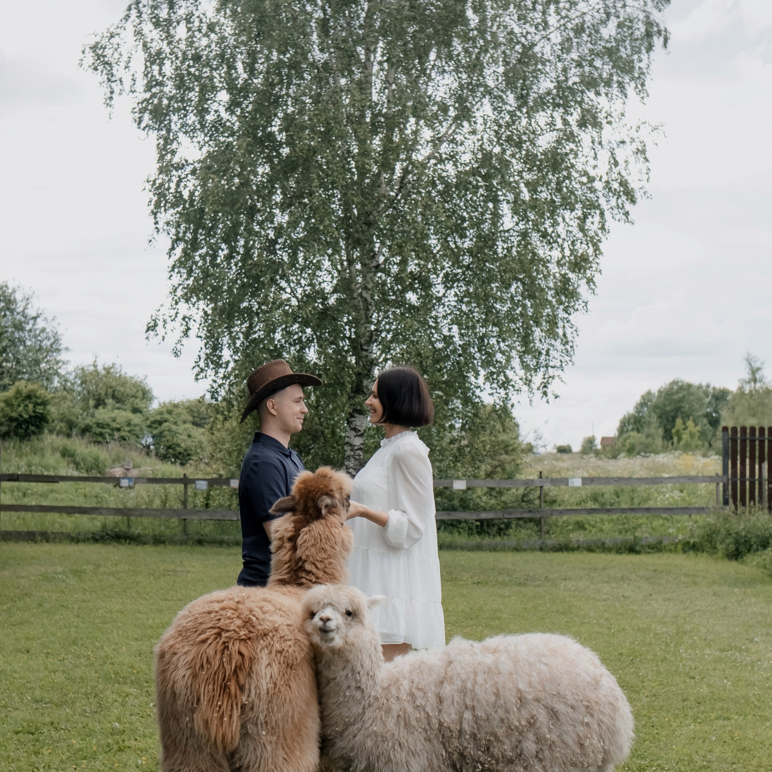 Отзывы. Константин Суриков свадебный фотограф Санкт-Петербург