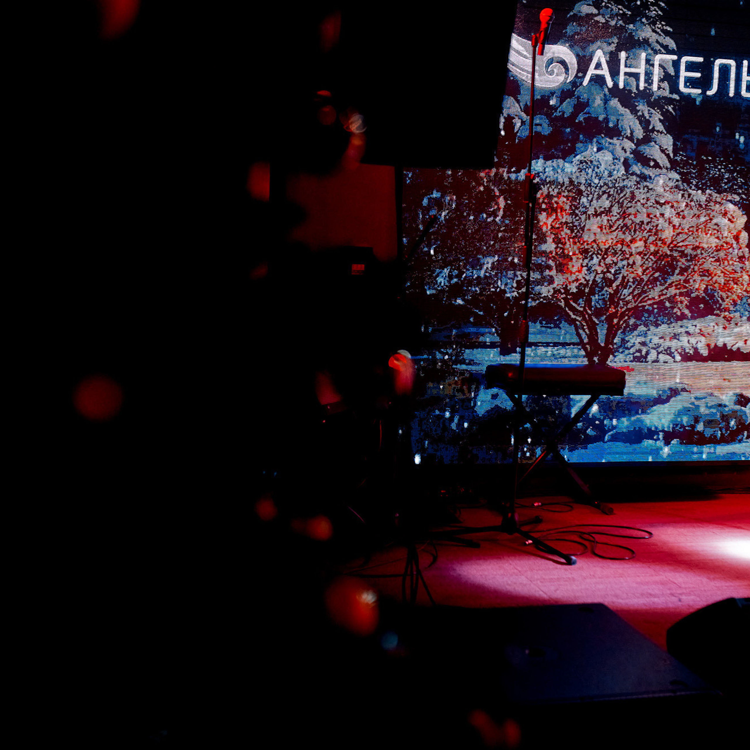 Отзывы. Фотограф Антон Ильченко