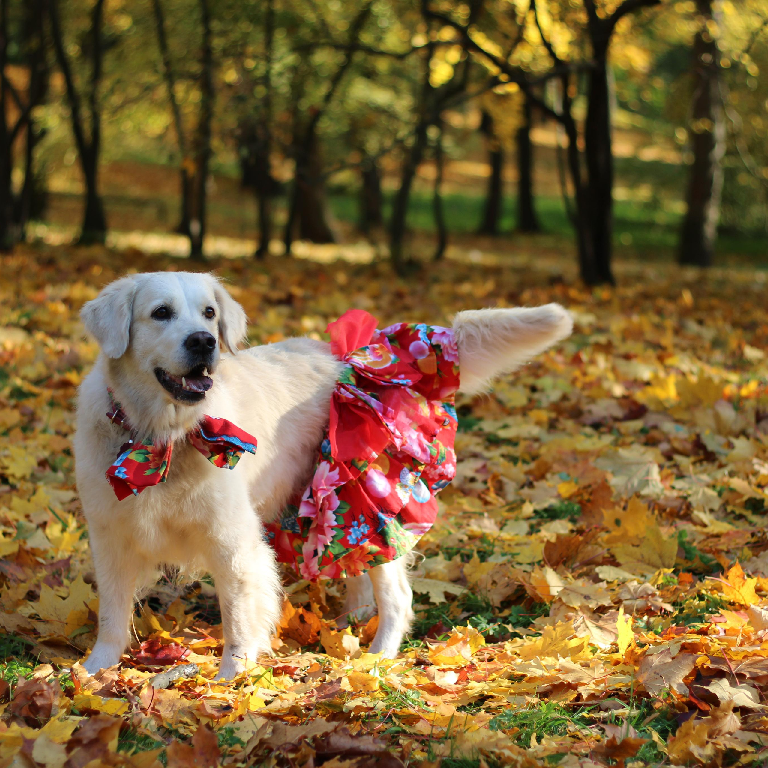 Отзывы. Позитивный контент-фотограф в Санкт-Петербурге Мария Устинова