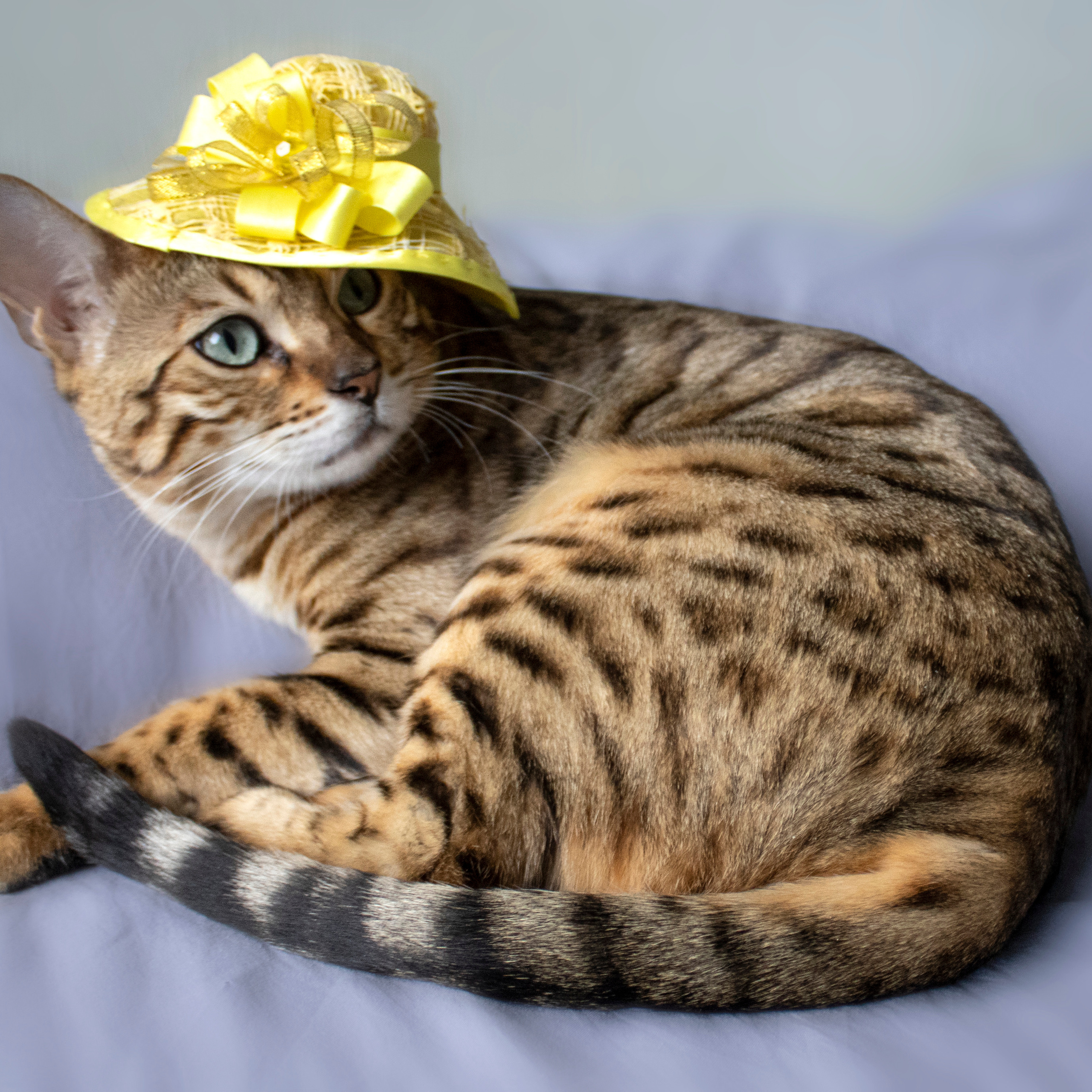 Отзывы. Позитивный контент-фотограф в Санкт-Петербурге Мария Устинова