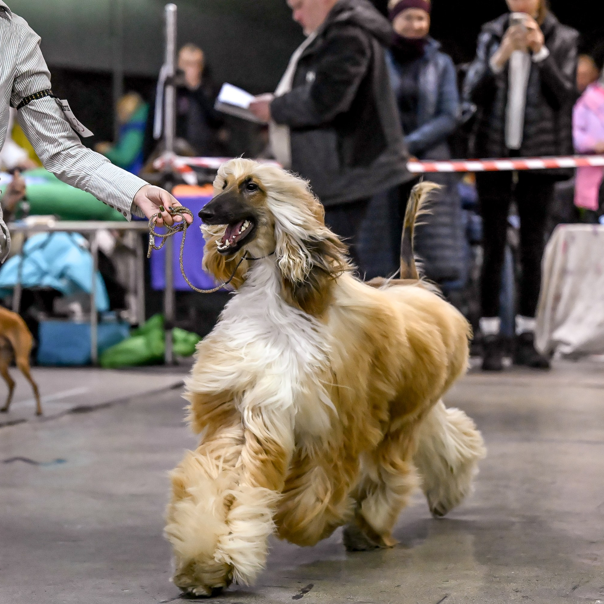 07.11.2025 Клуб Хобби