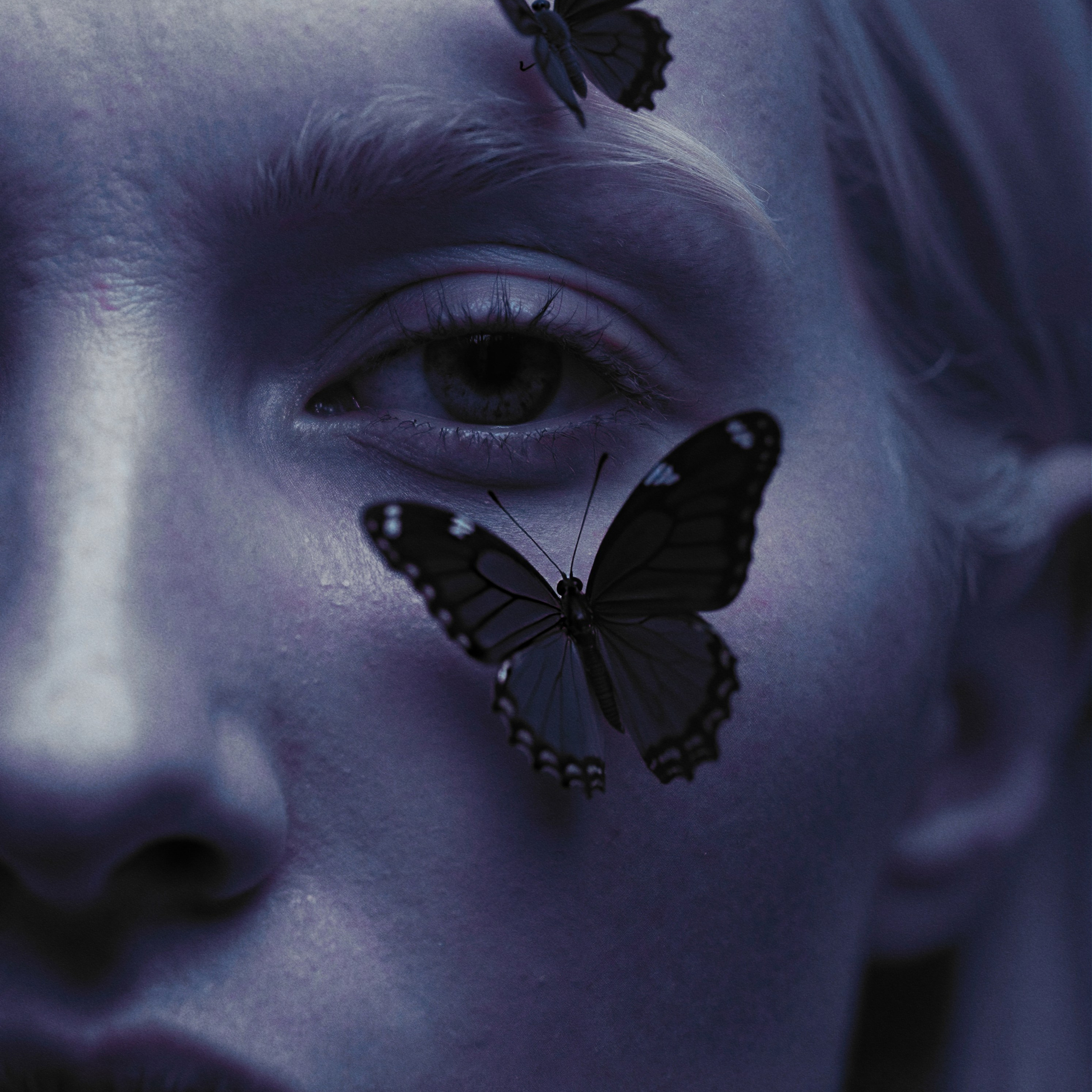 EFFECT B. Кирилл Зарин