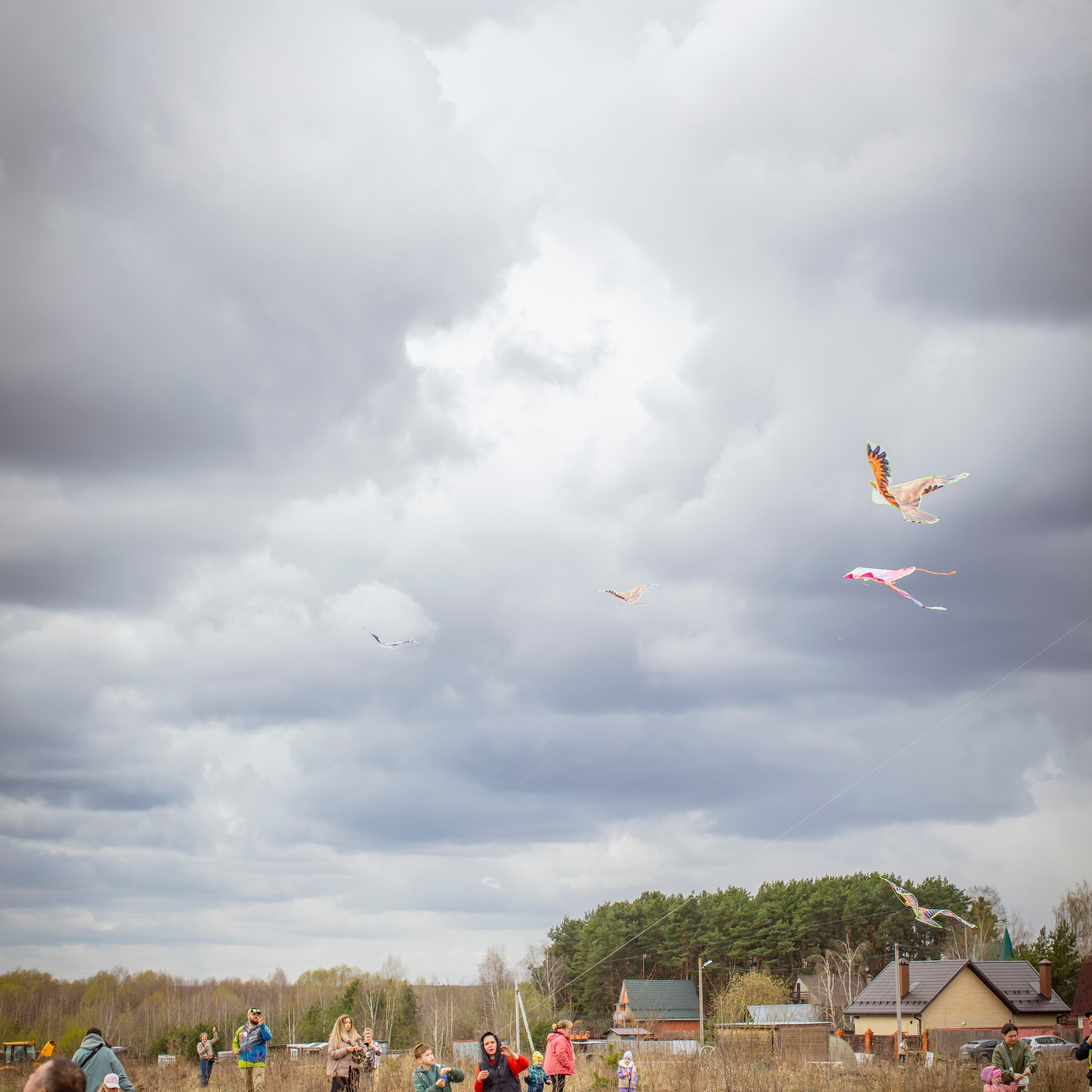 Отзывы. Фотограф Наталья Штукина