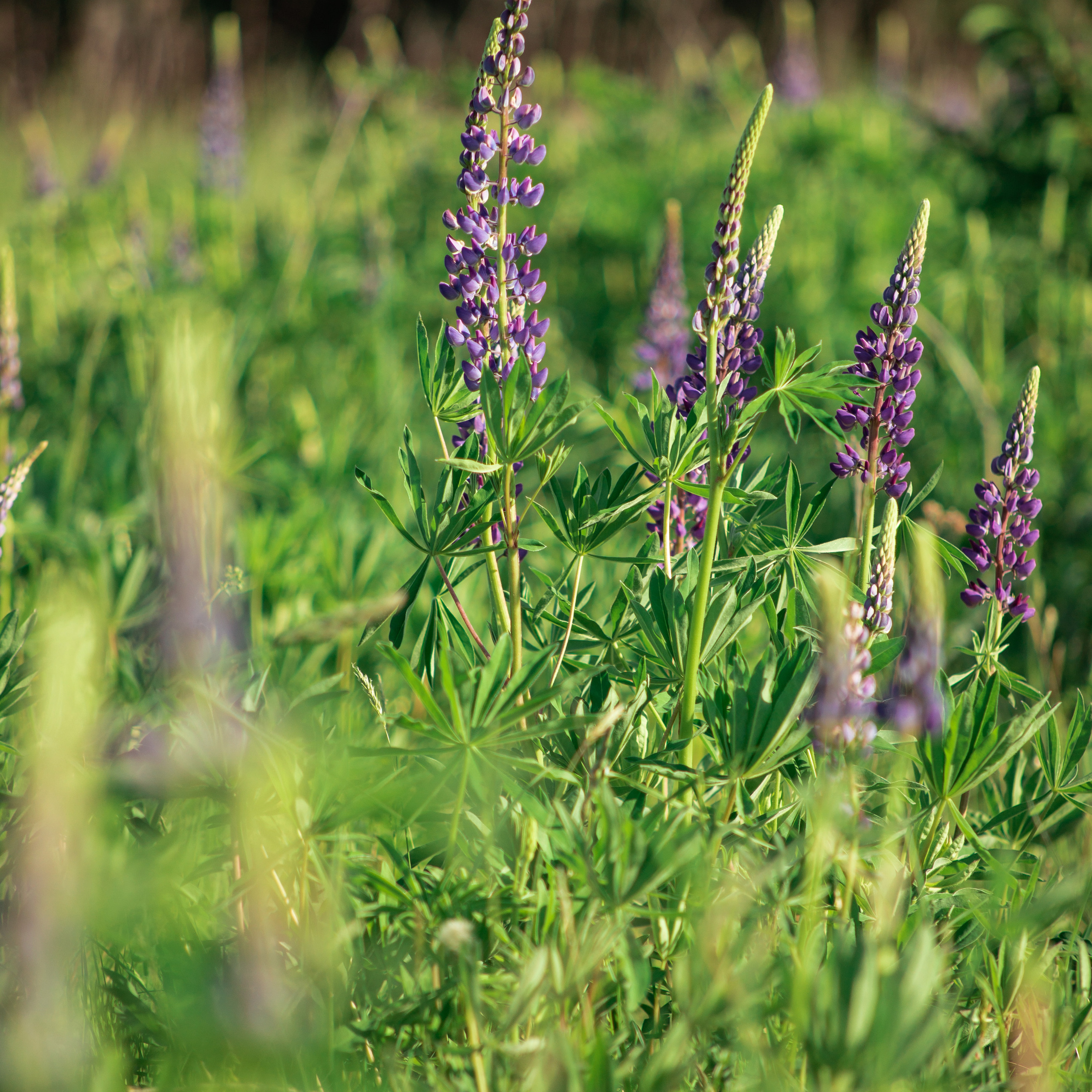 Отзывы о прошедшей фотосъёмке. Фотограф Екатерина Шереметова Ижевск Сарапул Воткинск