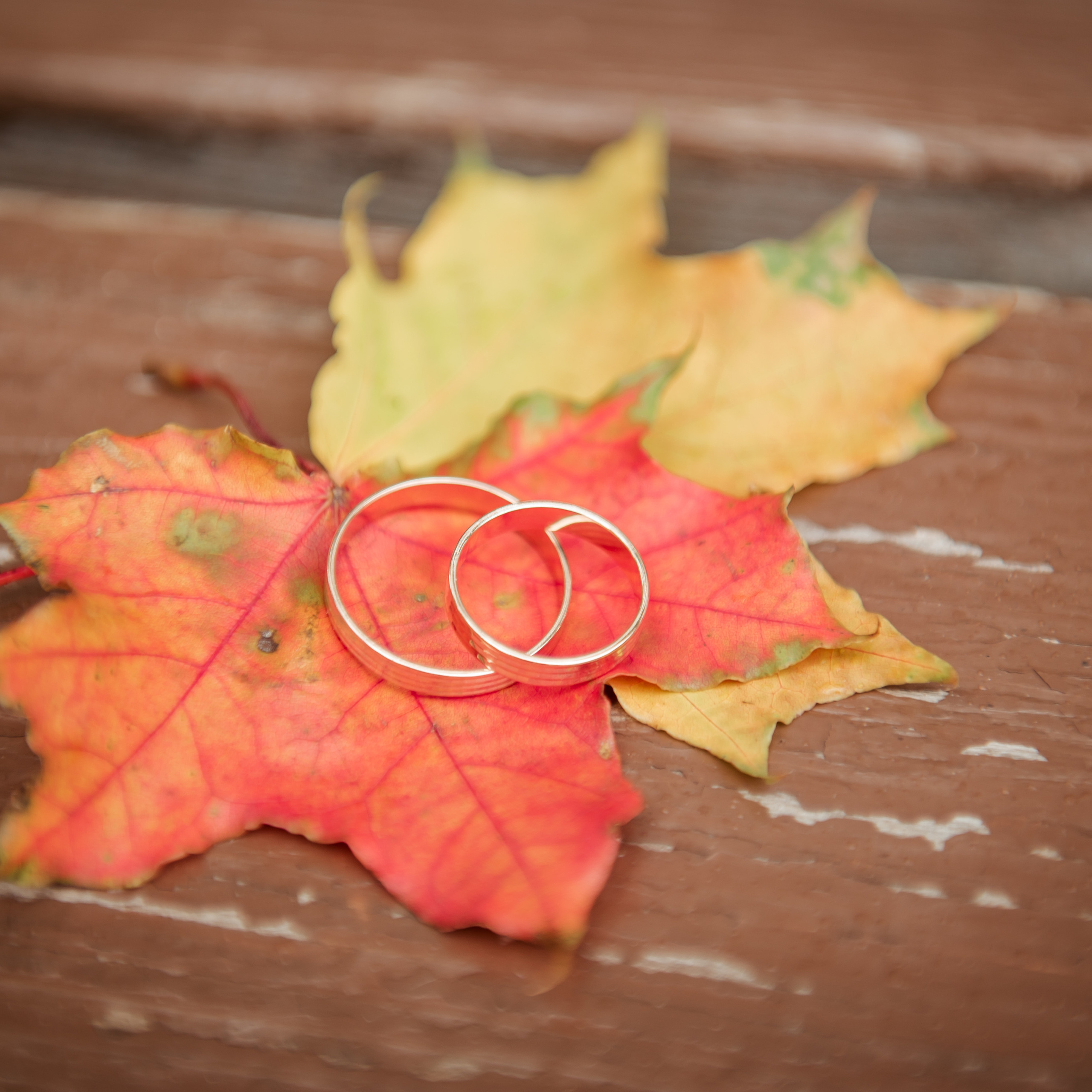 Отзывы о прошедшей фотосъёмке. Фотограф Екатерина Шереметова Ижевск Сарапул Воткинск