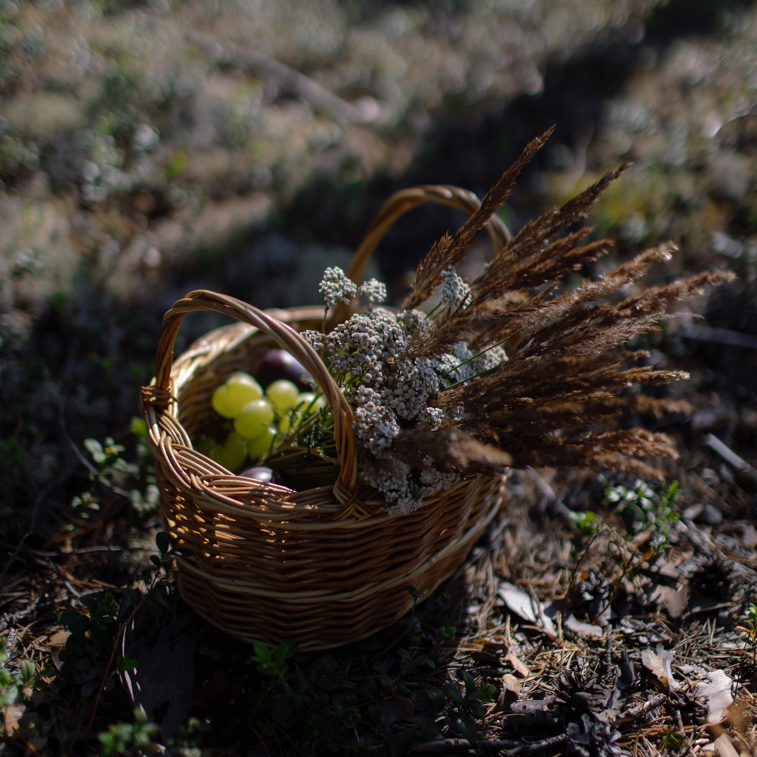 Отзывы. Свадебный фотограф Москва и Санкт-Петерург Артем Мамонов