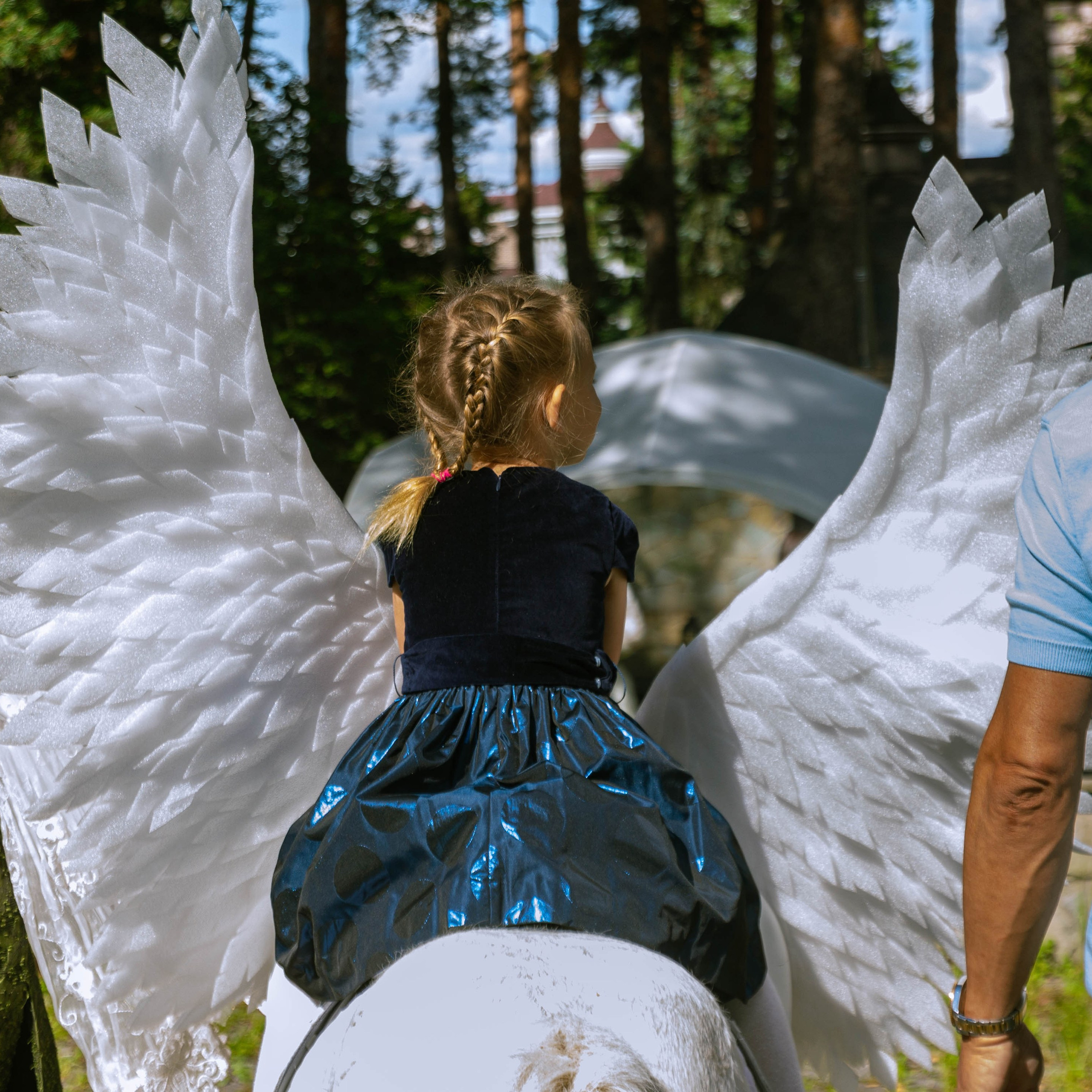 День Знаний