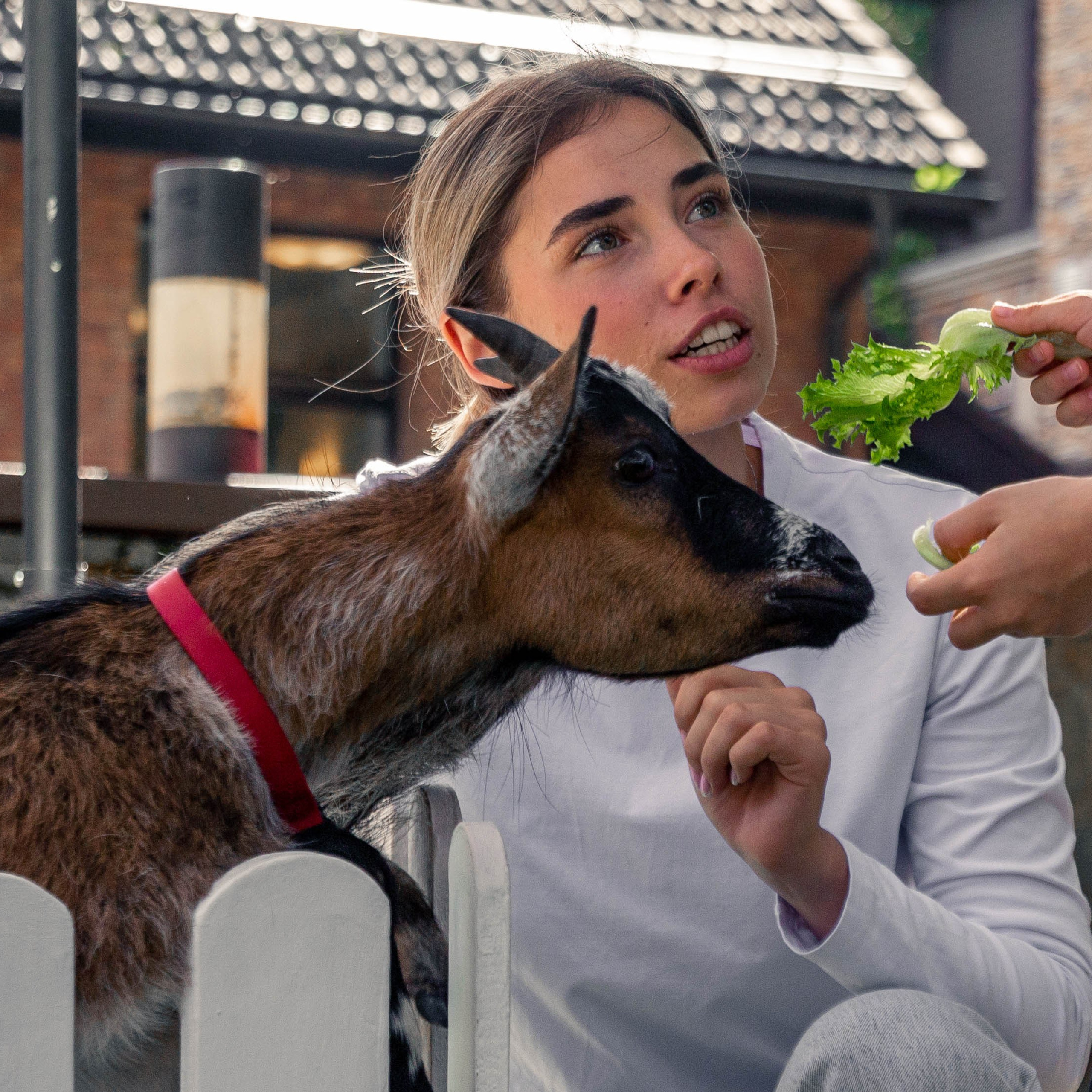 День Знаний. Репортажный Фотограф в Москве | Студия| Портрет