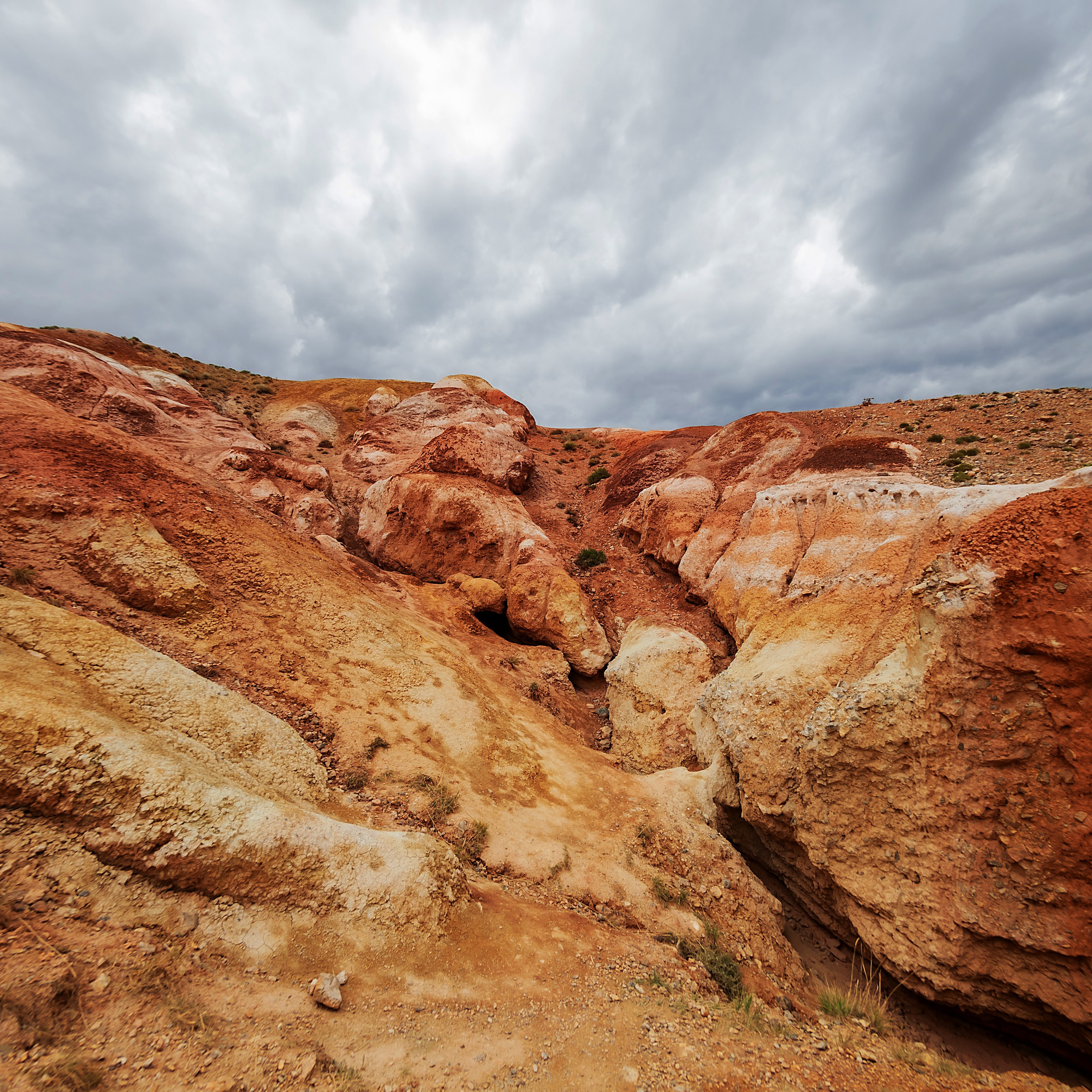 АЛТАЙ 2024 / ALTAI 2024