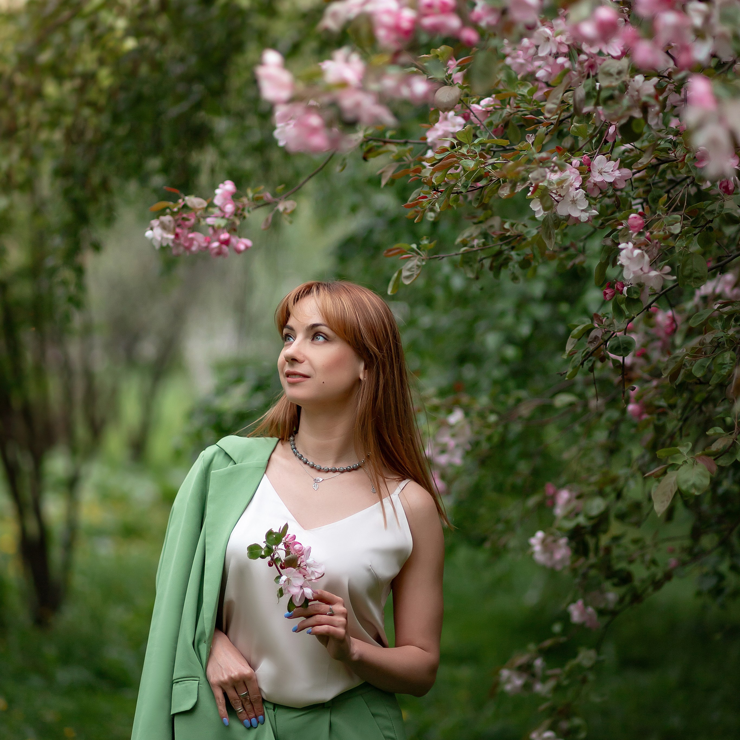 Розовая яблоня