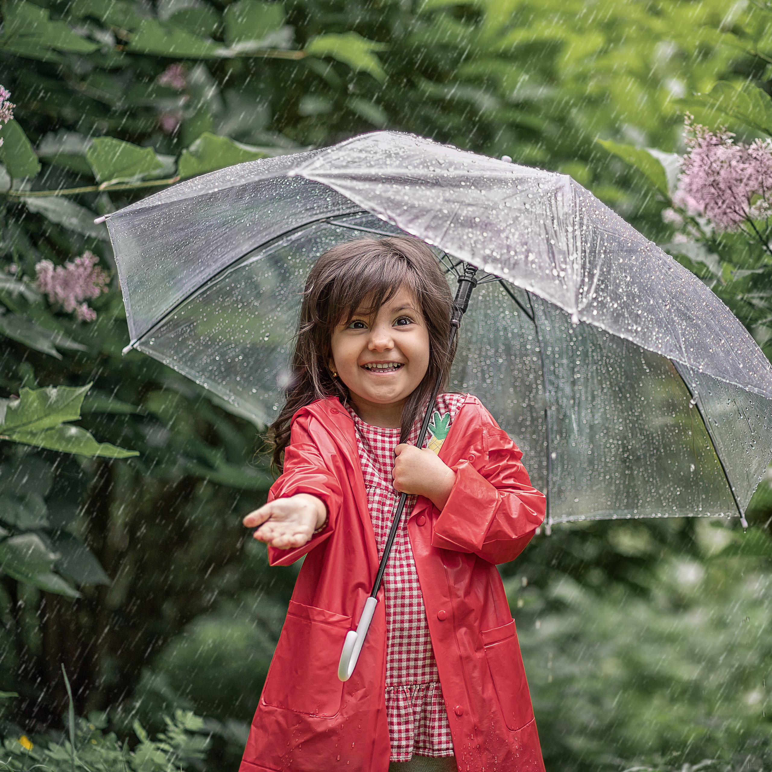 Летний дождик и сирень