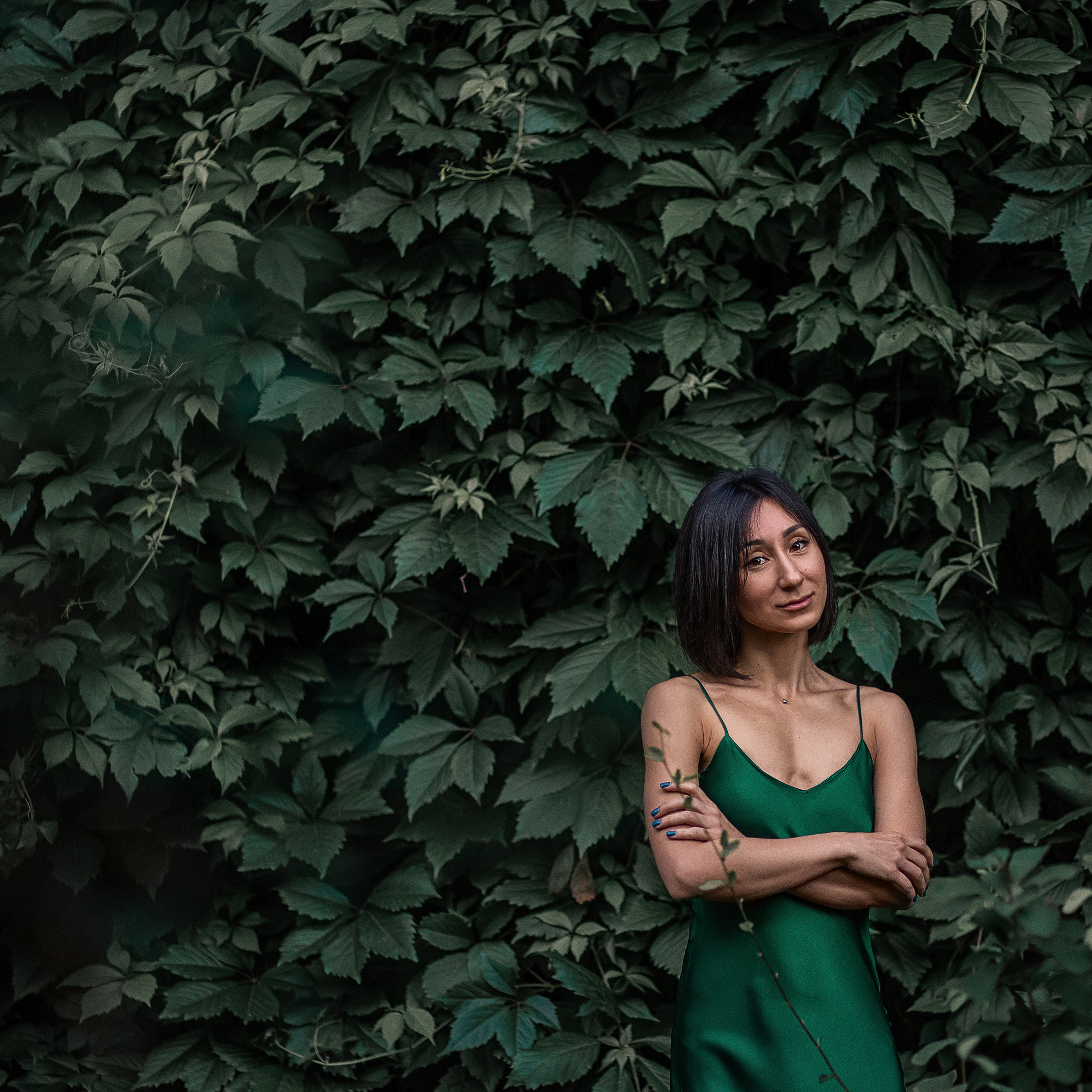 Лили в изумрудной лозе