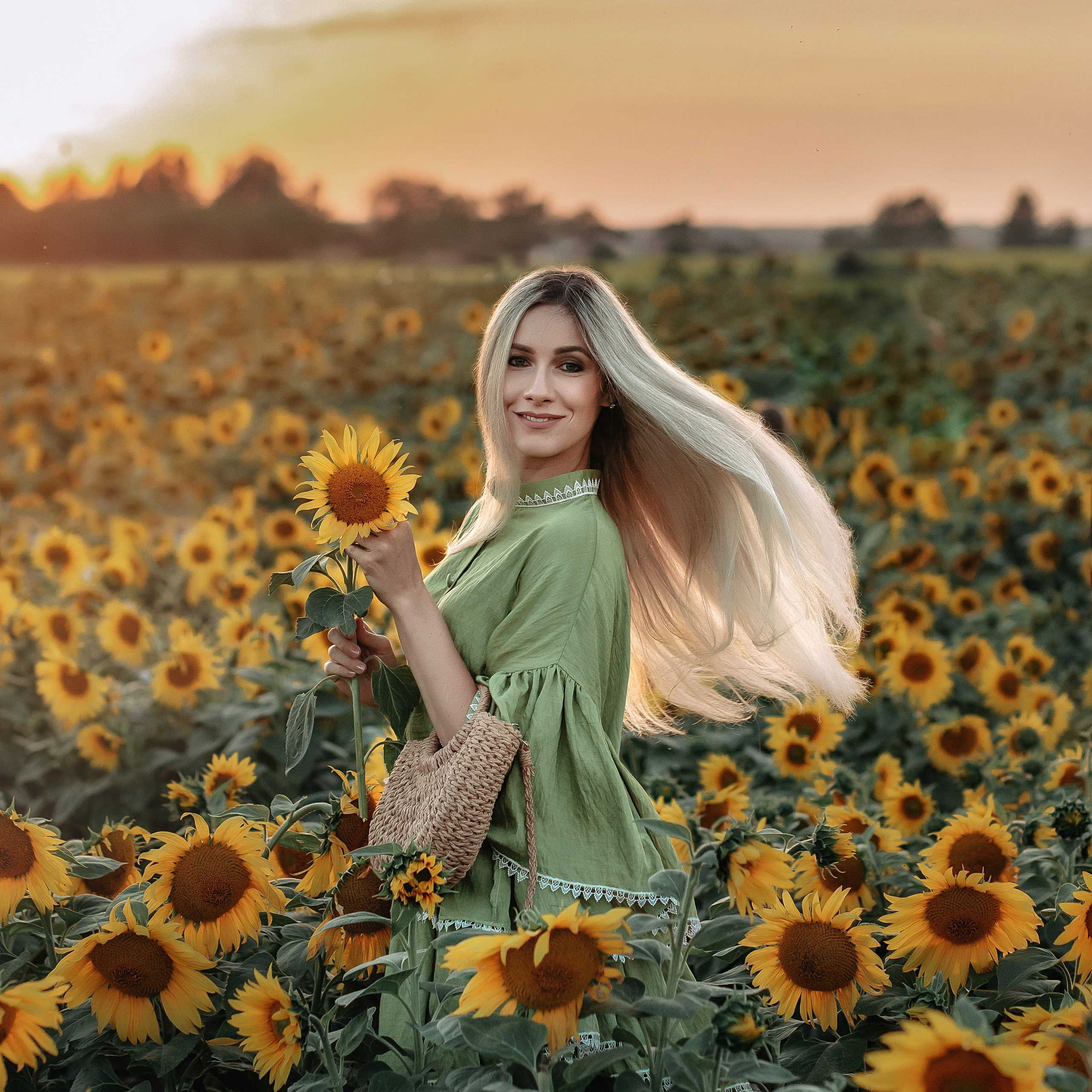 Закат в подсолнухаx