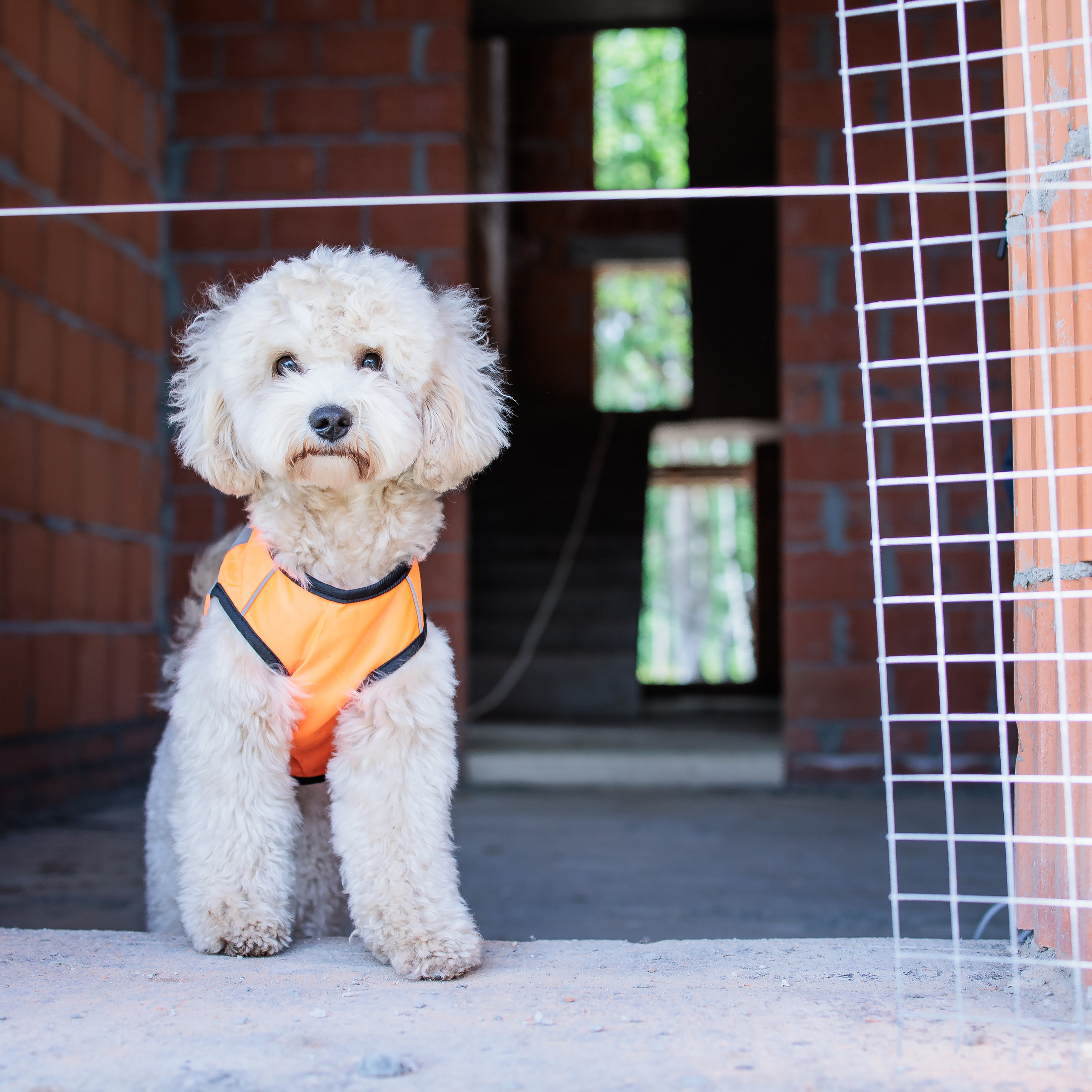 Отзывы. Фотограф Ирина Астор