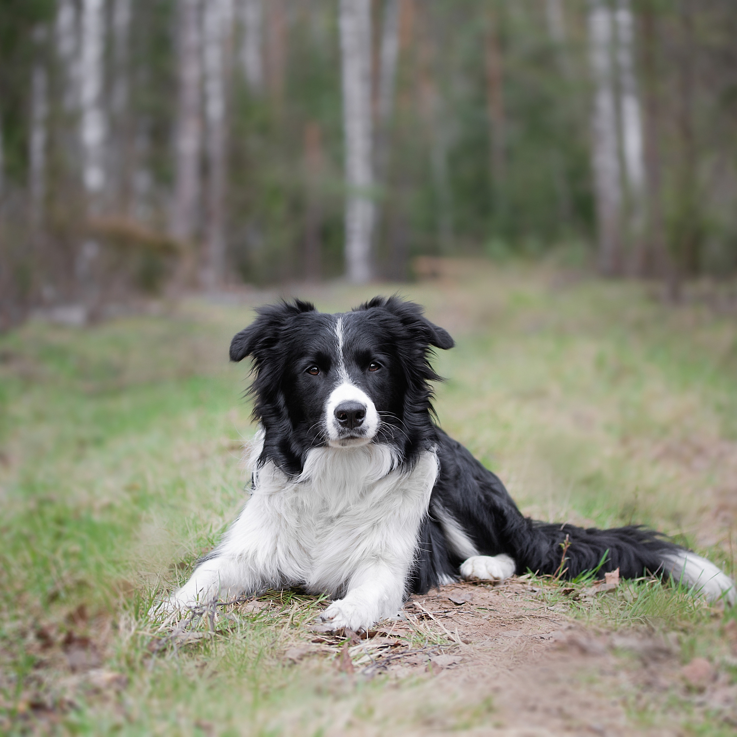 Отзывы. Фотограф Ирина Астор