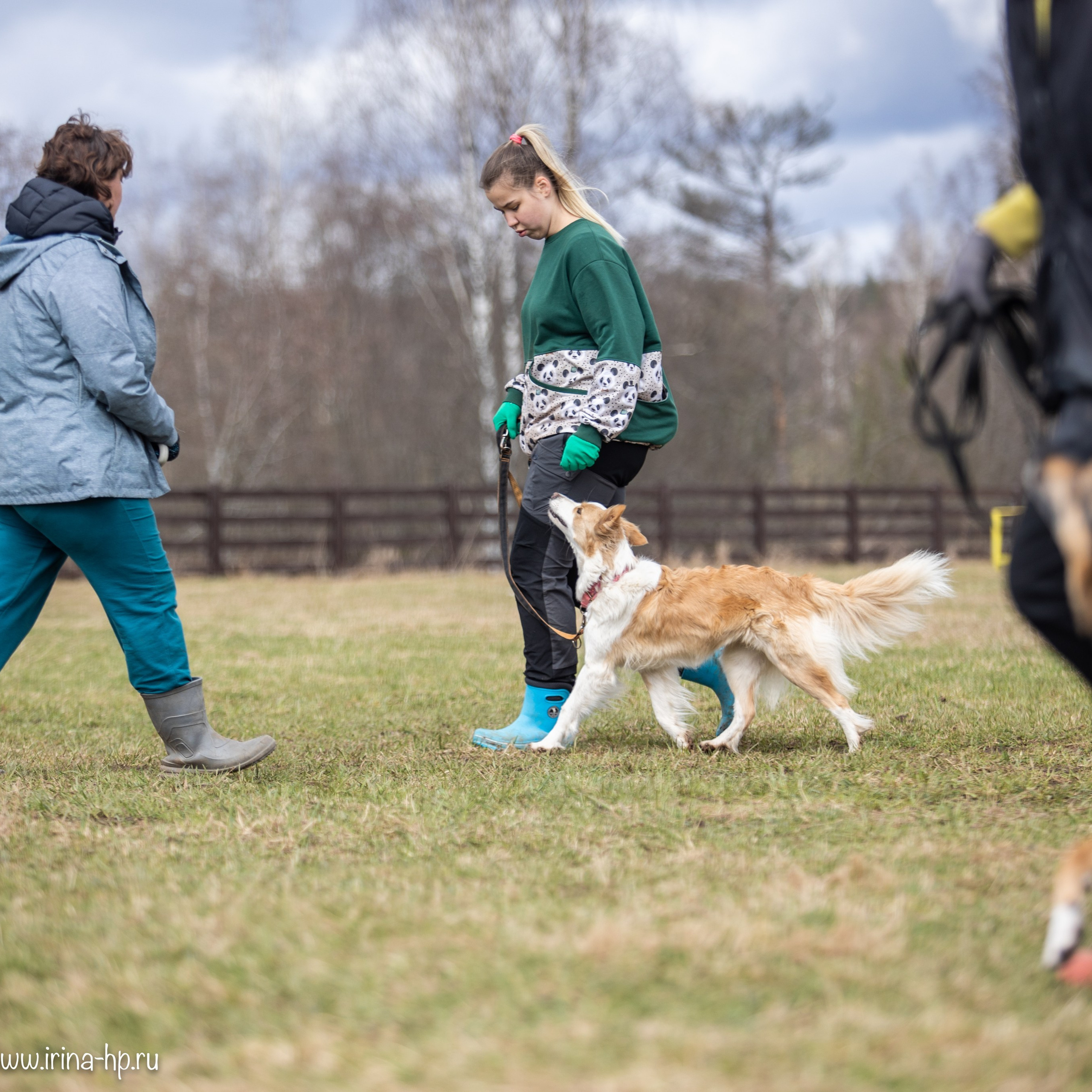 Отзывы. Фотограф Ирина Астор