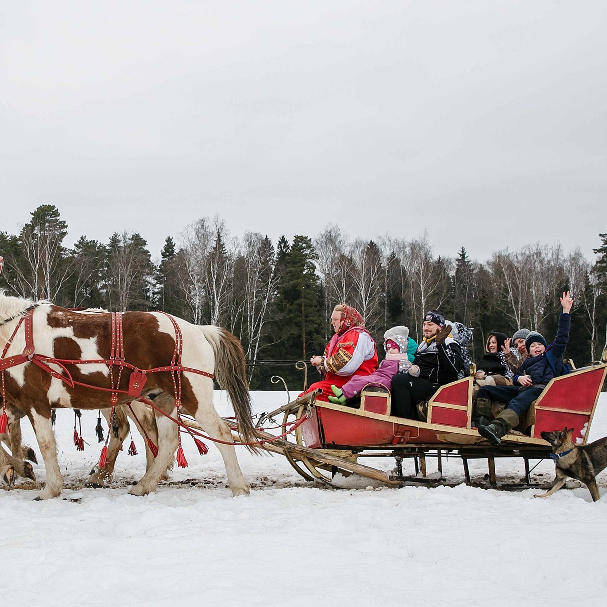 Отзывы. Репортажный фотограф в Москве Екатерина Трушкова